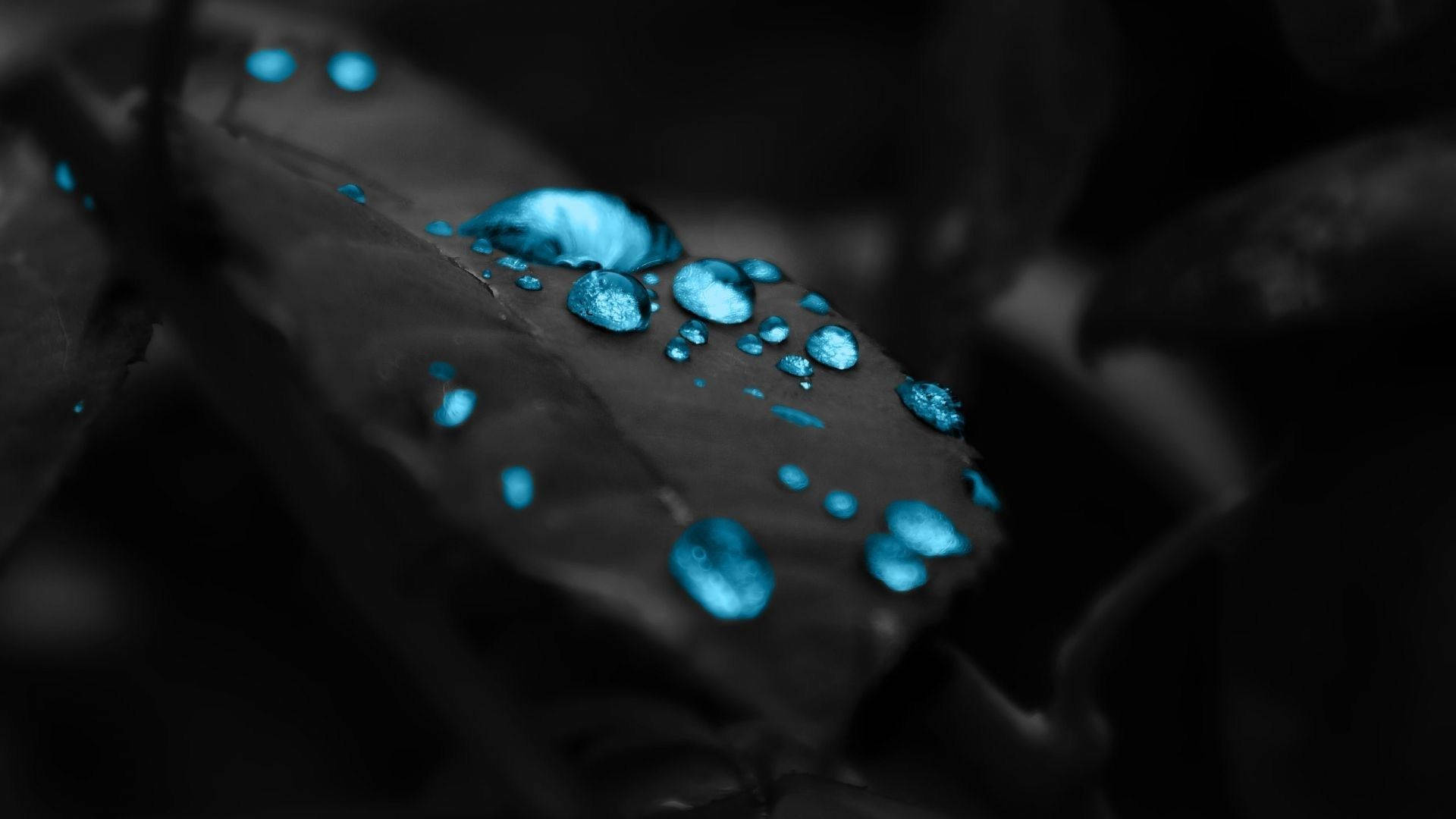 Neon Blue Aesthetic Leaf Droplets Background