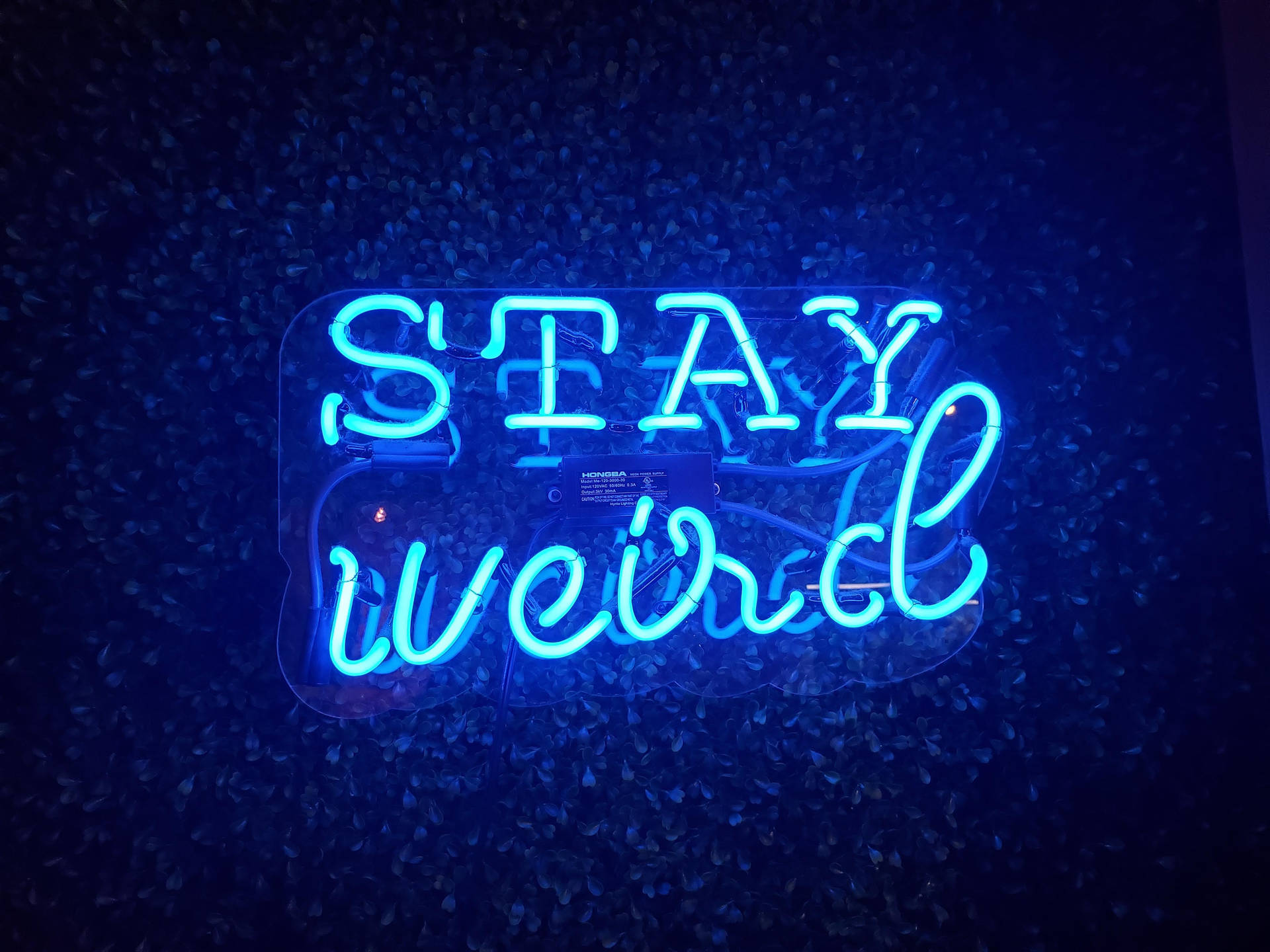 Neon Blue Aesthetic Stay Weird Background