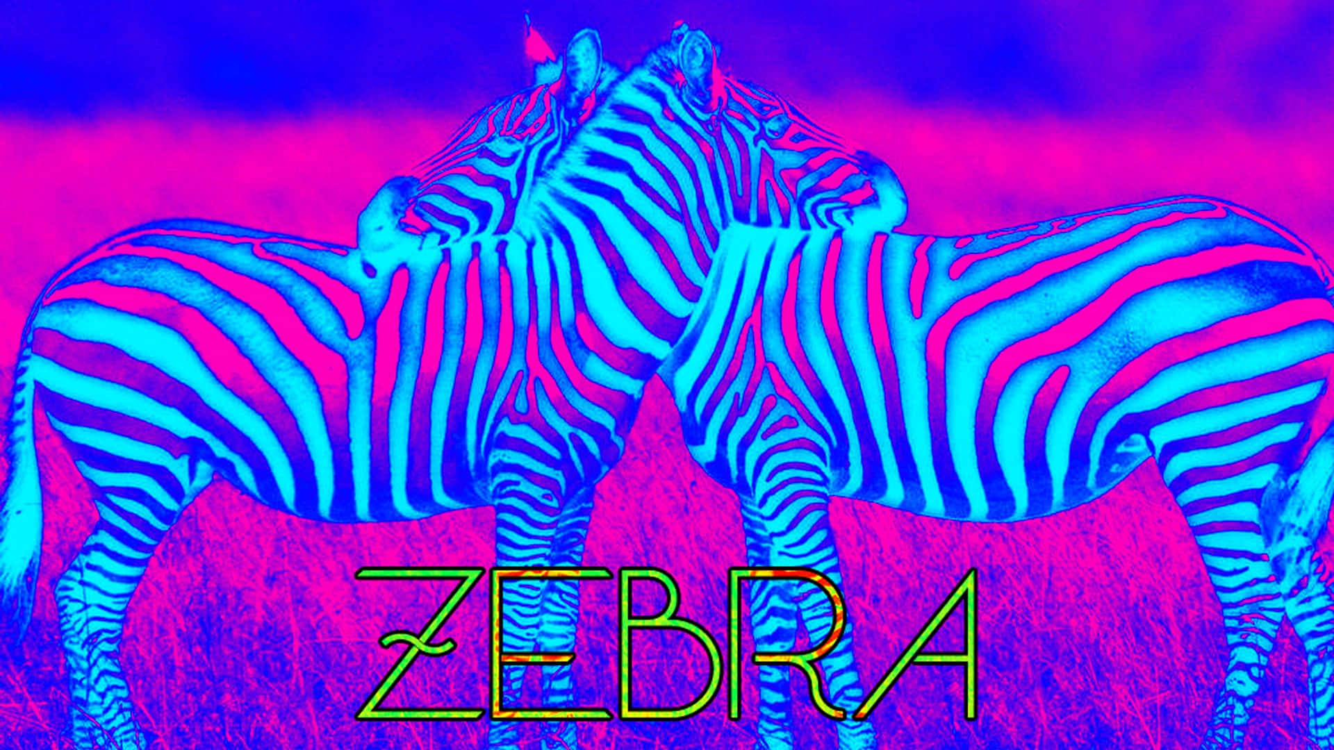 Neon Blue And Pink Zebra