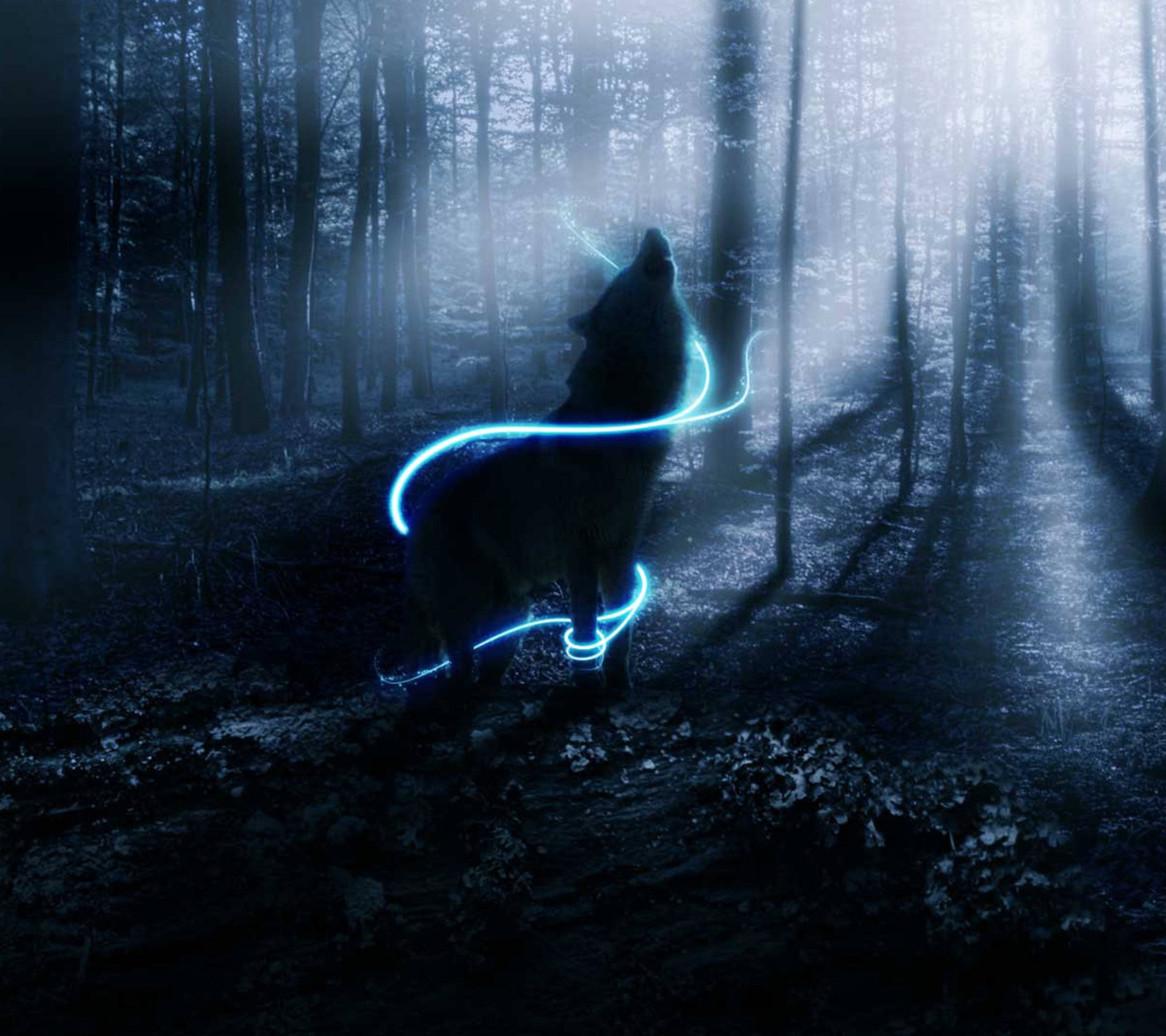 Neon Blue Anime Wolf In Ethereal Forest Background