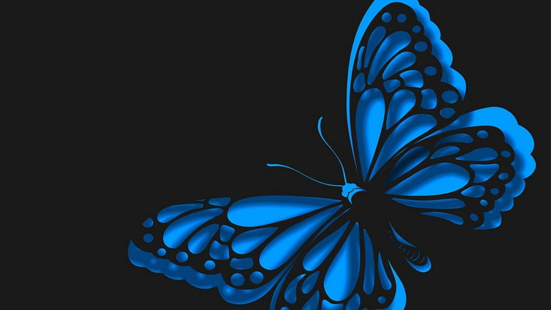 Neon Blue Butterfly Background