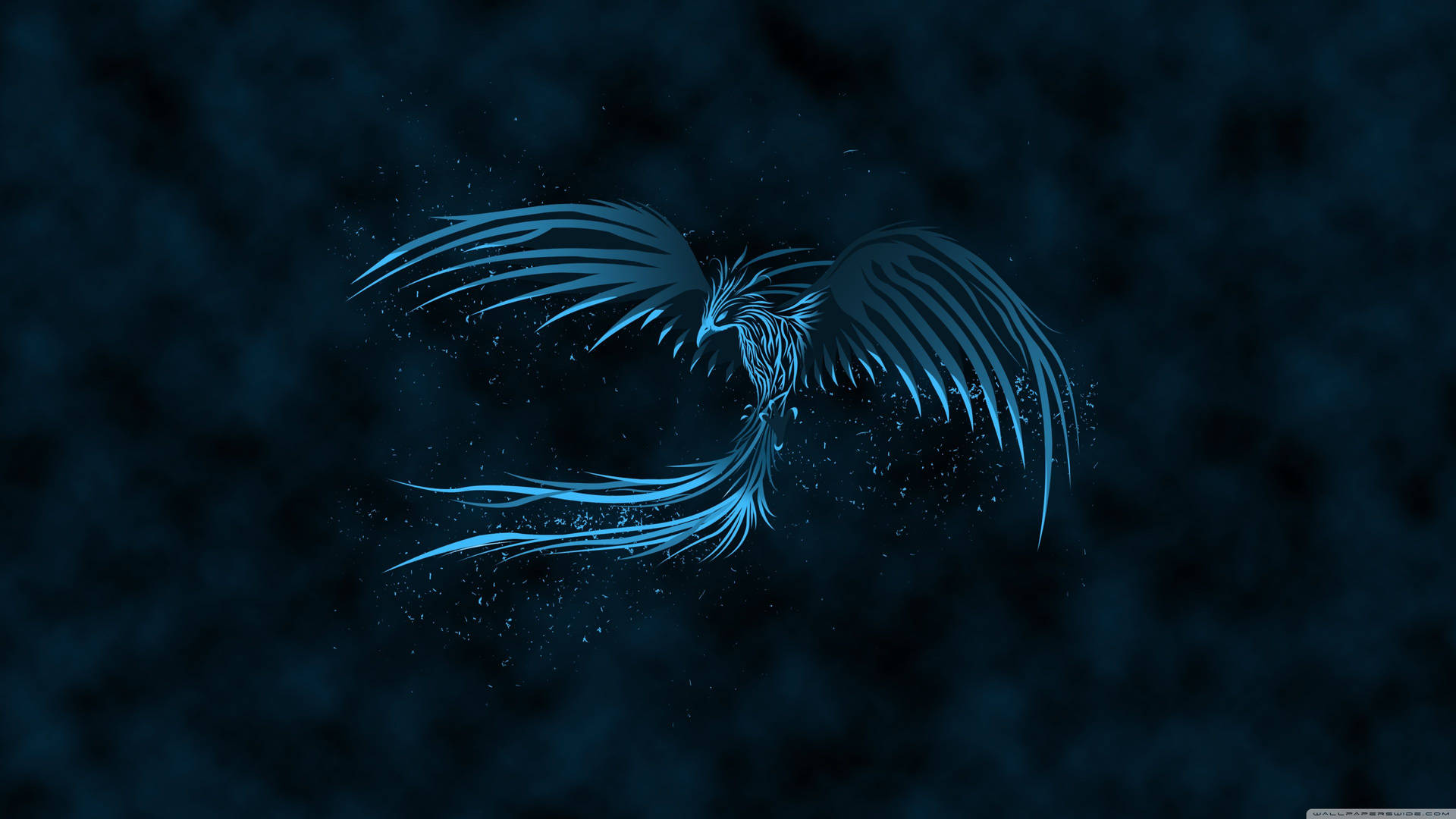 Neon Blue Phoenix Hd Background