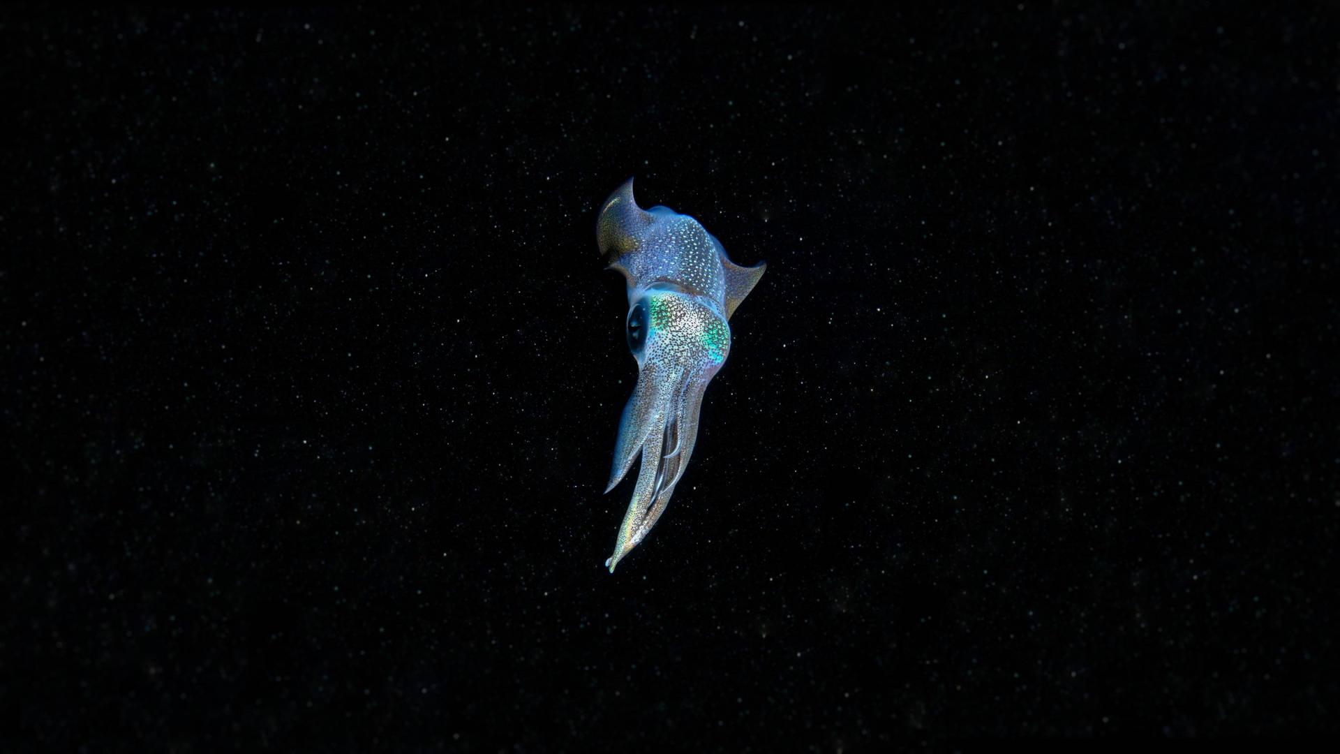 Neon Blue Squid Background