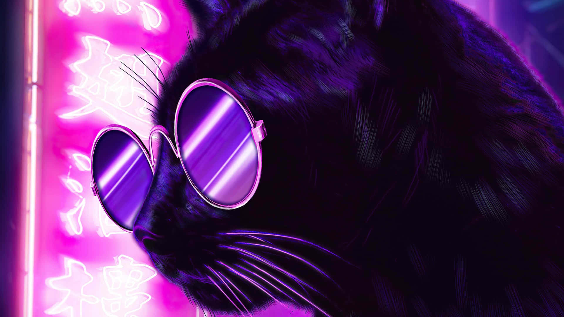 Neon Catwith Sunglasses Background