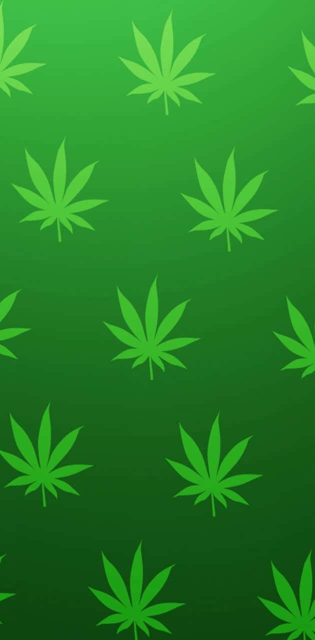 Neon Green Cannabis Leaf Pattern Background