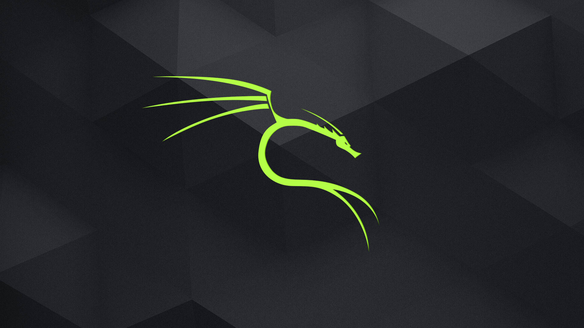 Neon Green Kali Linux Hd Background