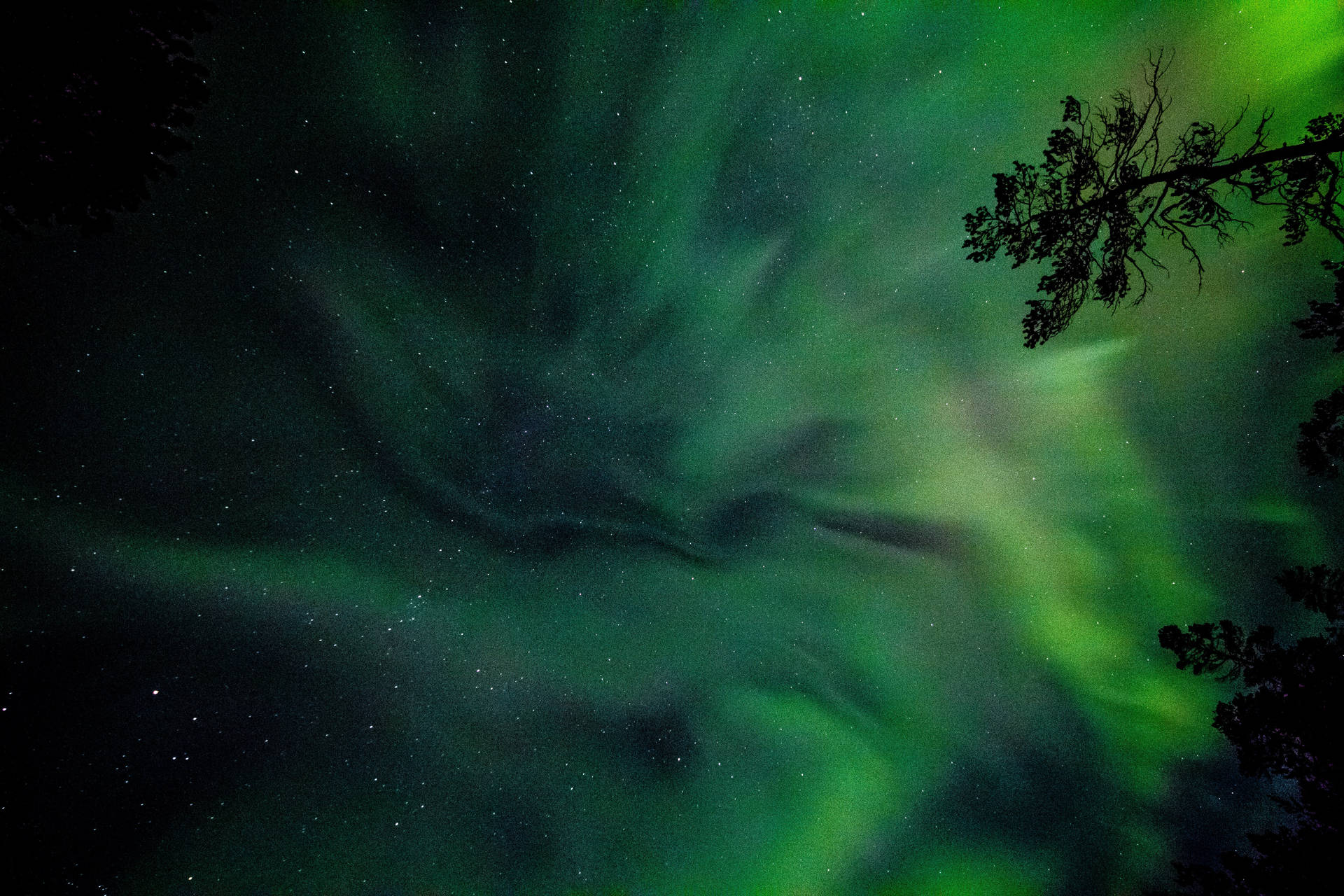 Neon Green Lights Under Starry Sky Background