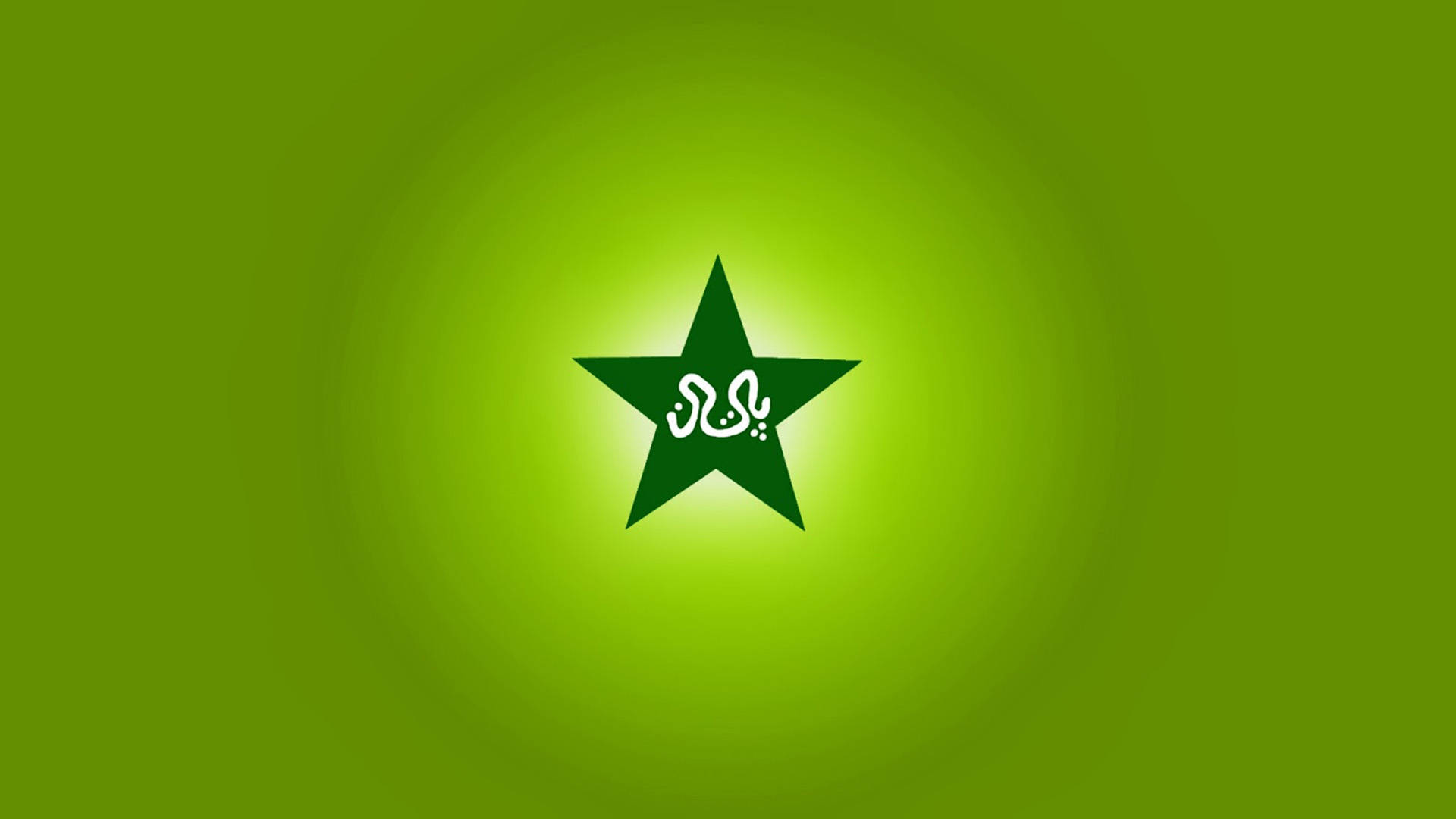Neon Green Pakistan Cricket Logo Background
