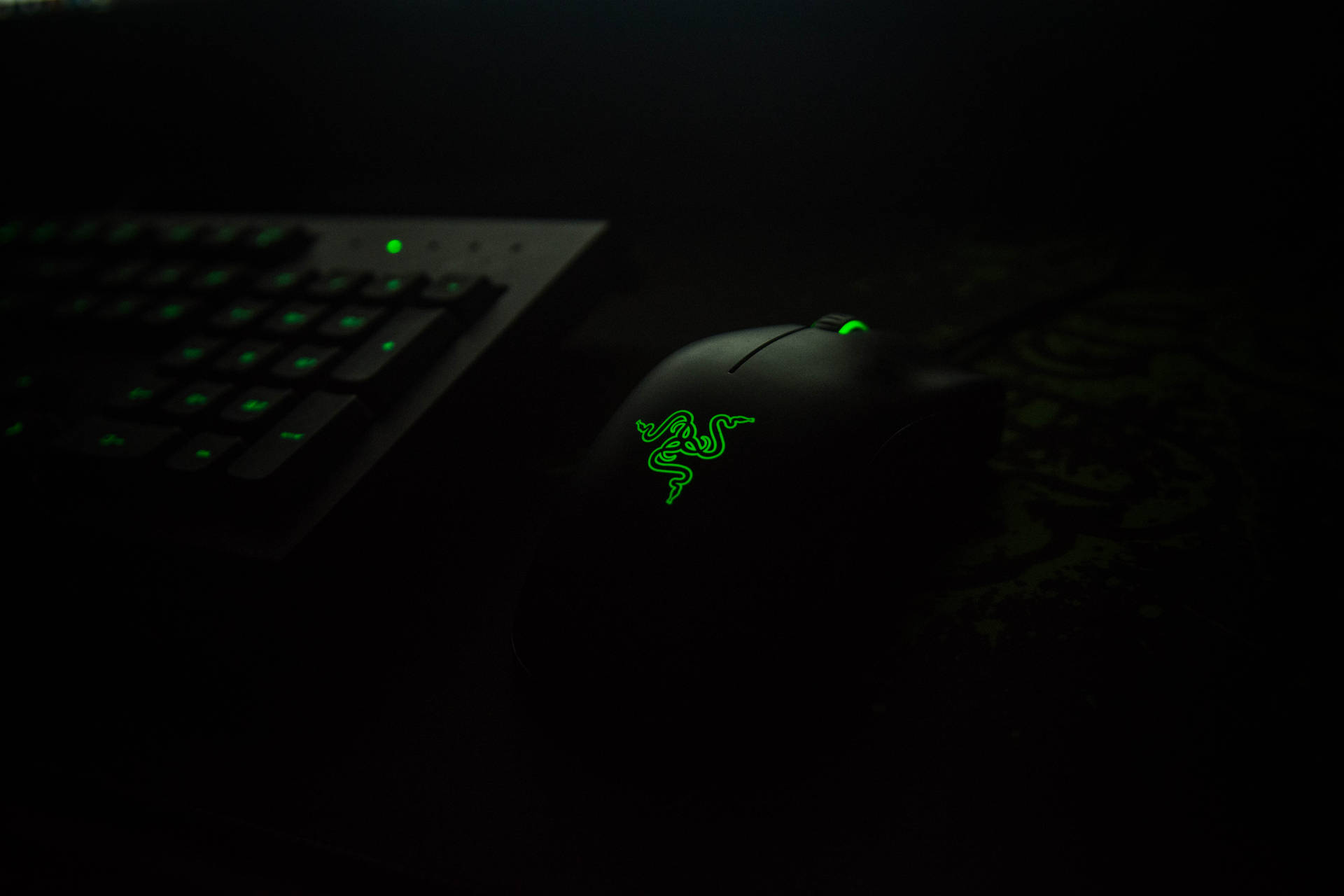 Neon Green Razer Gaming Mouse Background