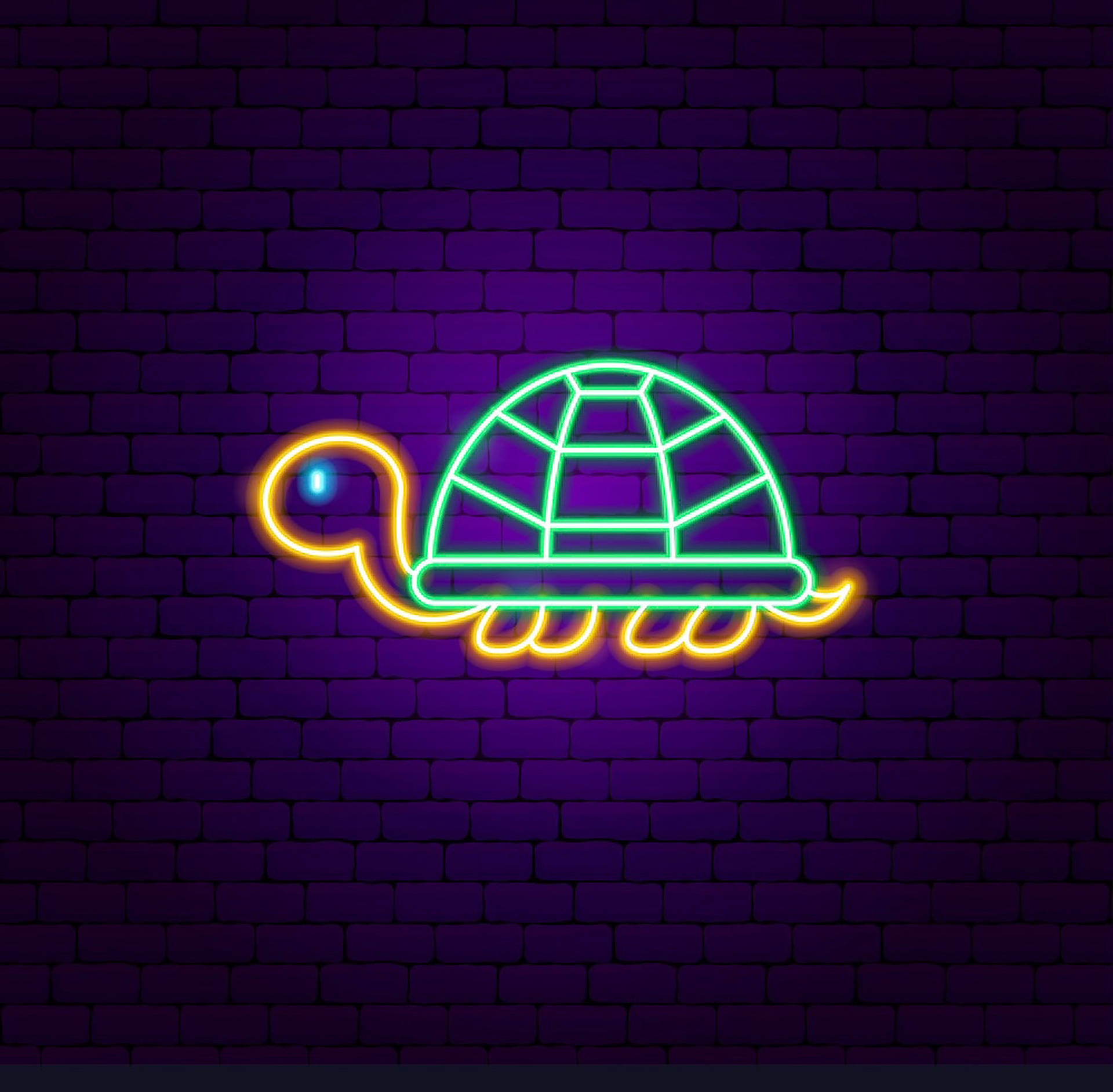 Neon Light Turtle Background