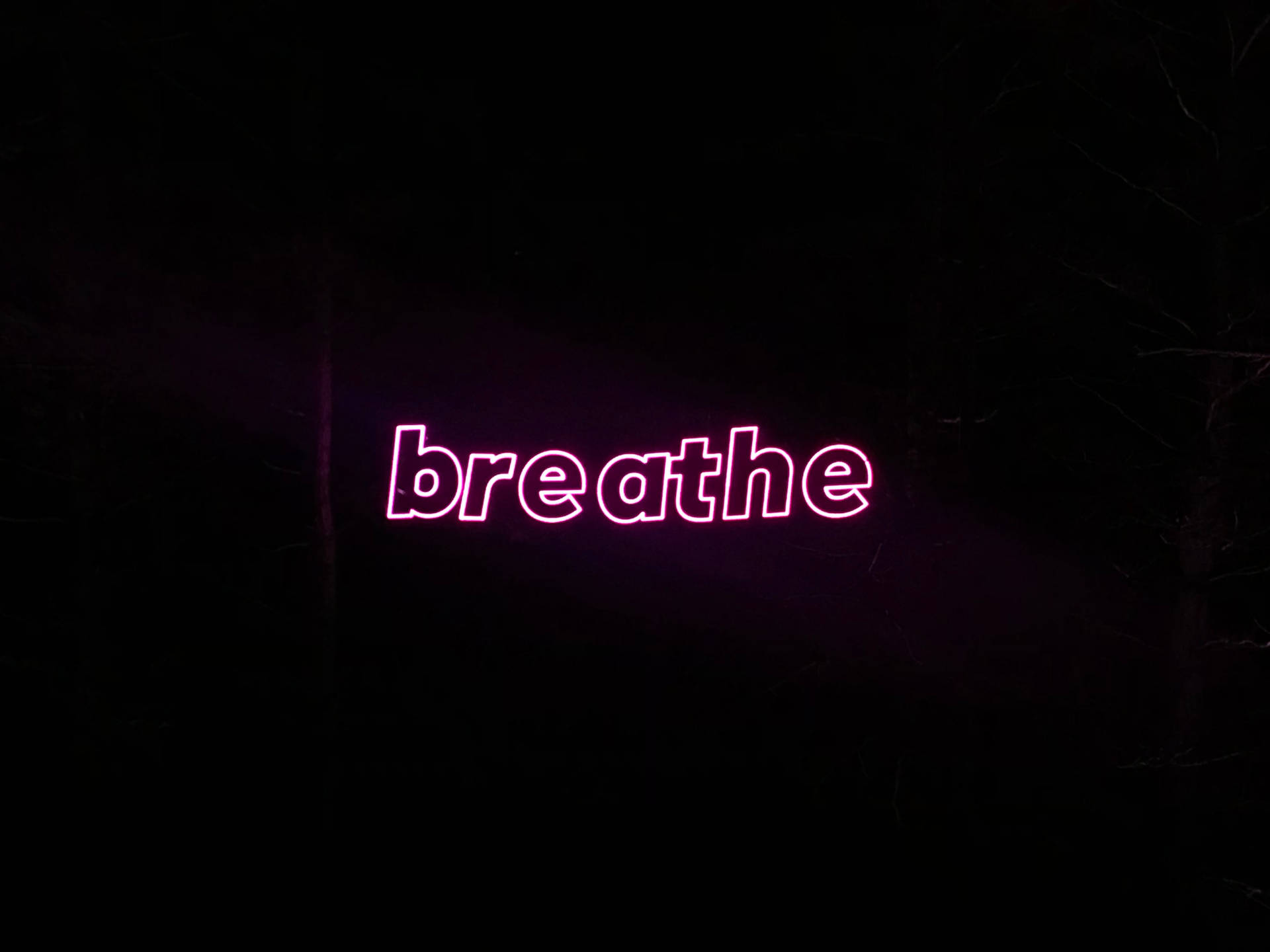 Neon Lights Breathe Background