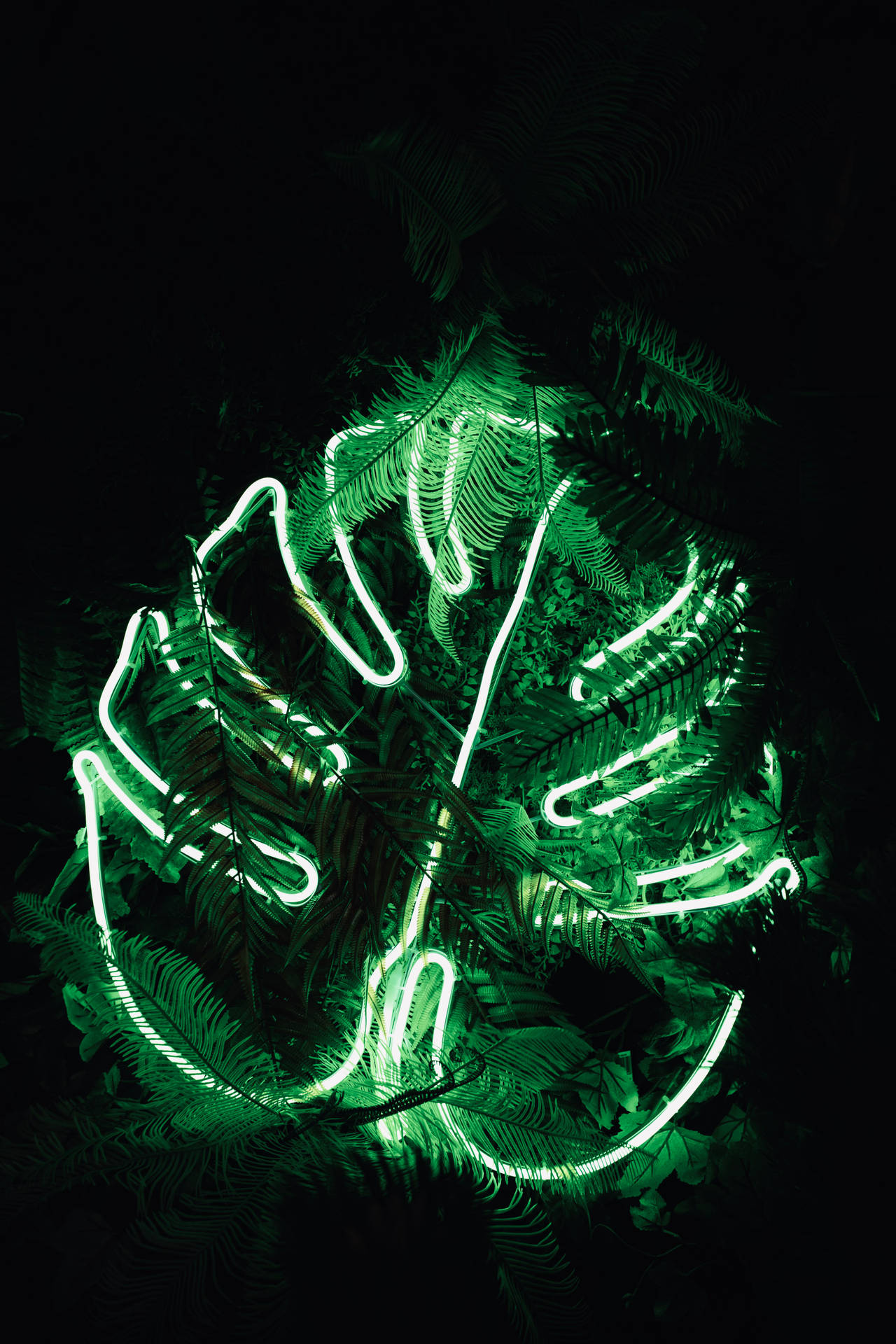 Neon Lights Monstera Leaf Background