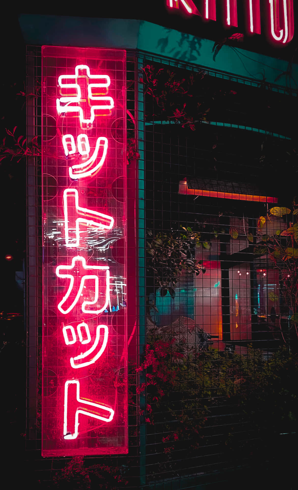 Neon Lights Of Japan - A Showcase Of The Country's Vibrant Night Life