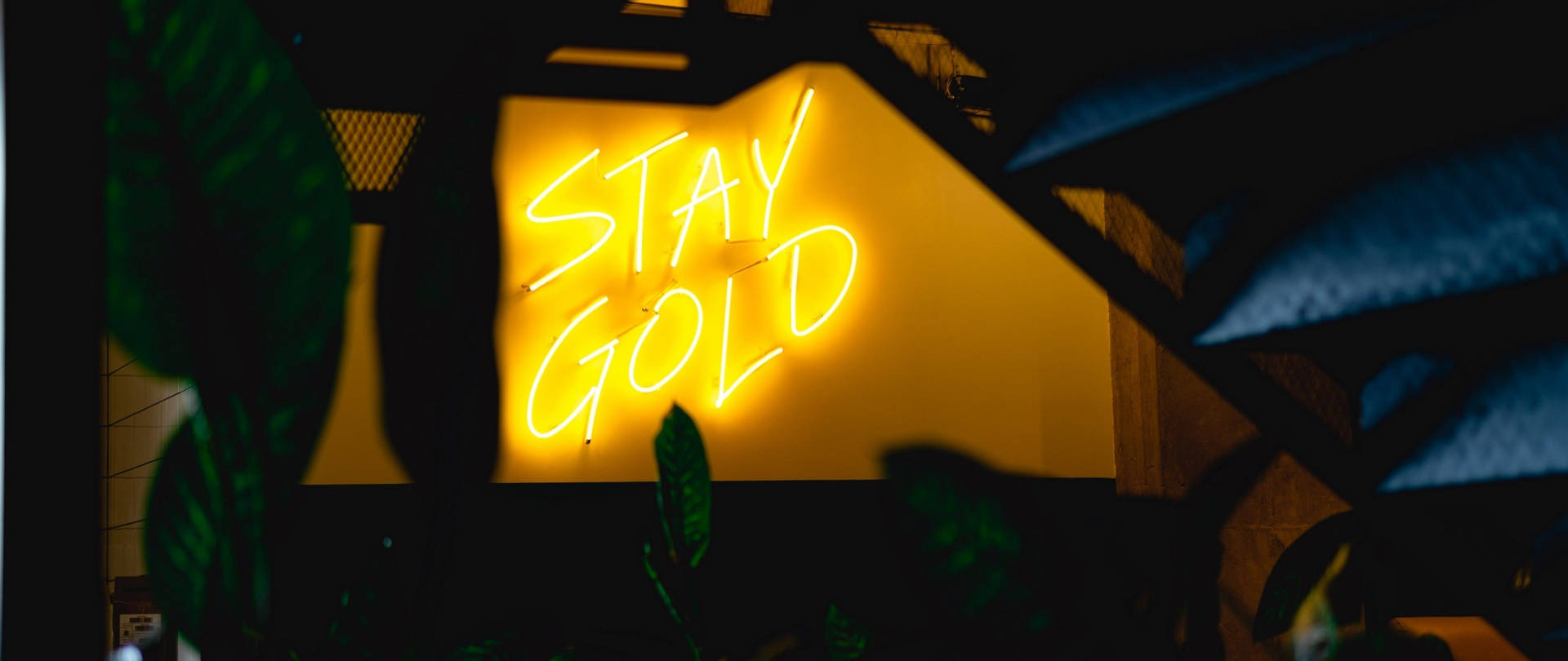 Neon Lights Stay Gold Background