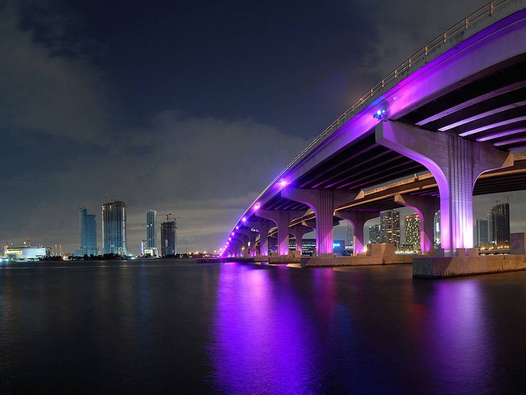 Neon-lit Miami Florida