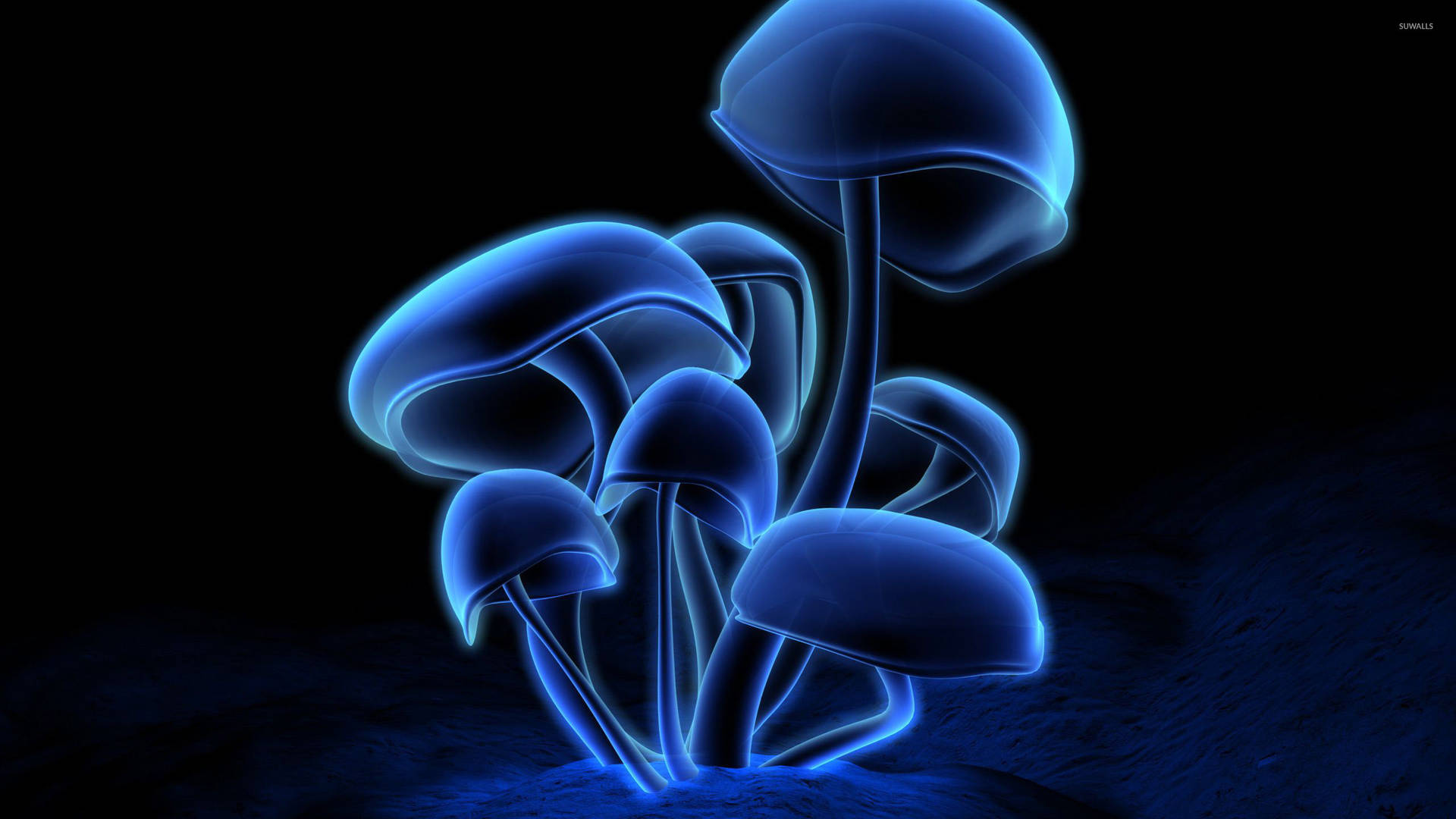 Neon Mushroom Aesthetic Background