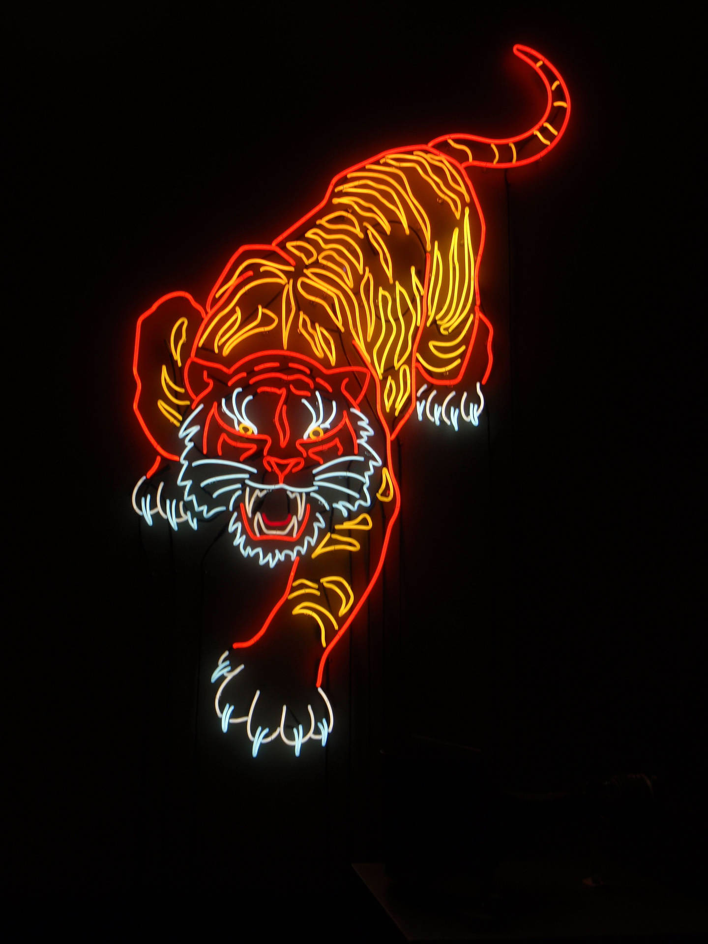 Neon Orange Angry Tiger Background