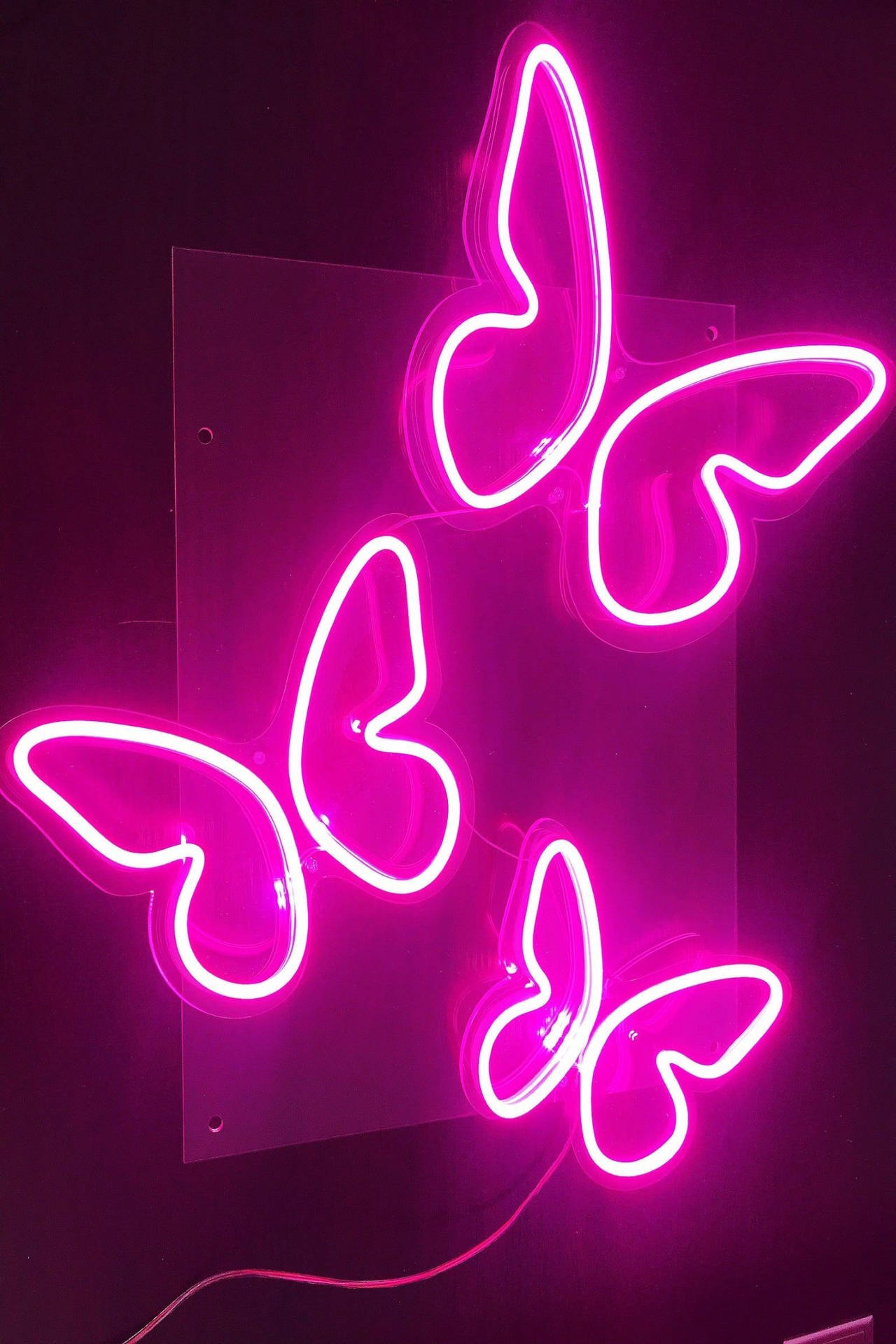 Neon Pink Aesthetic Butterflies Background