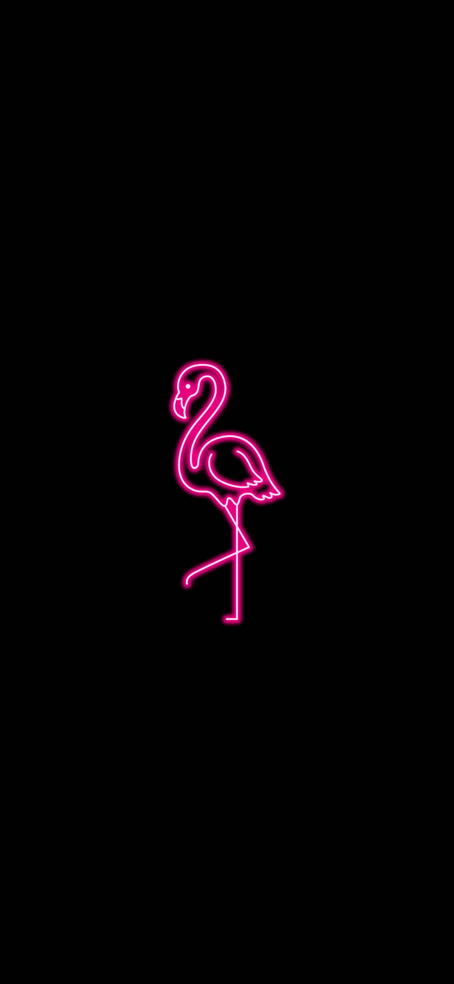 Neon Pink Aesthetic Flamingo Background