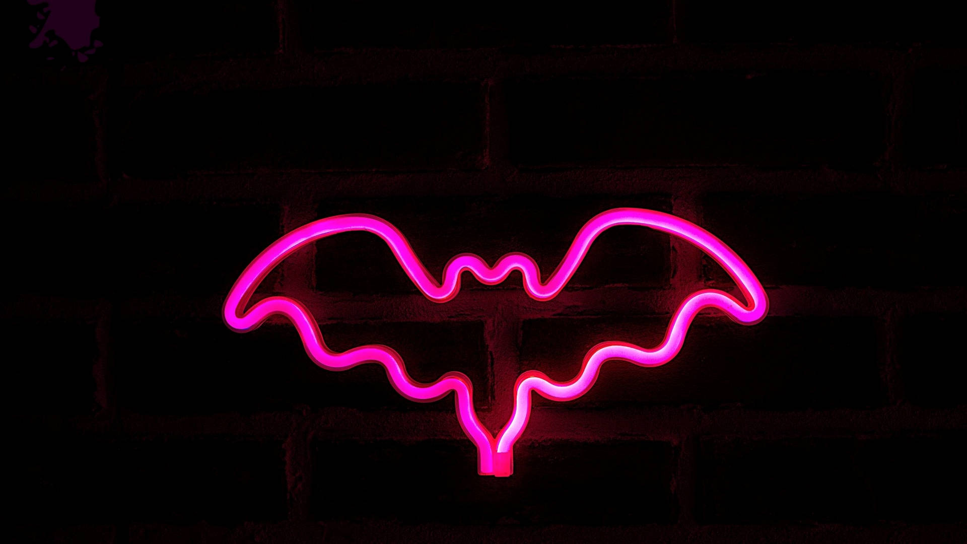 Neon Pink Aesthetic Flying Bat Background