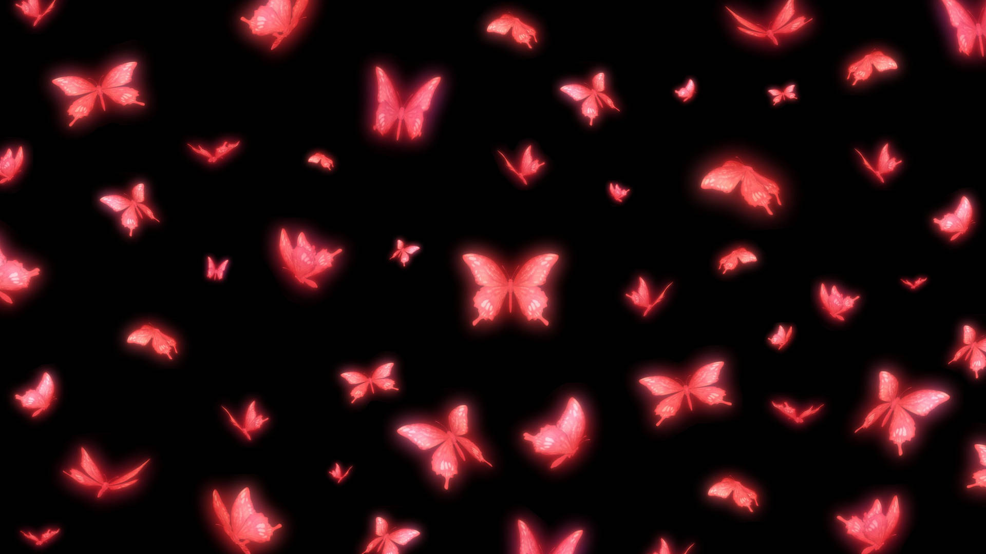 Neon Pink Butterfly Background
