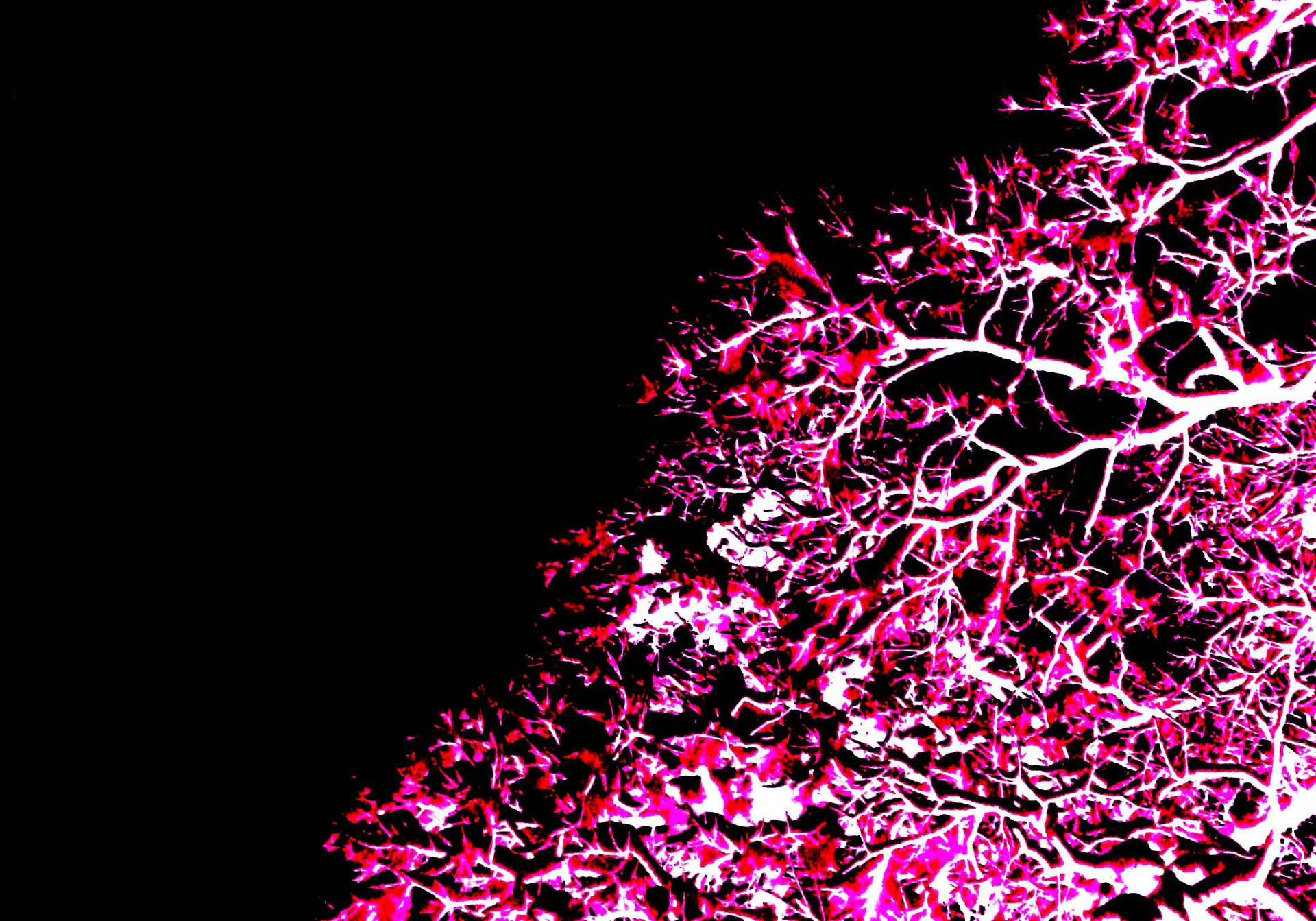 Neon Pink Tree With Leaves