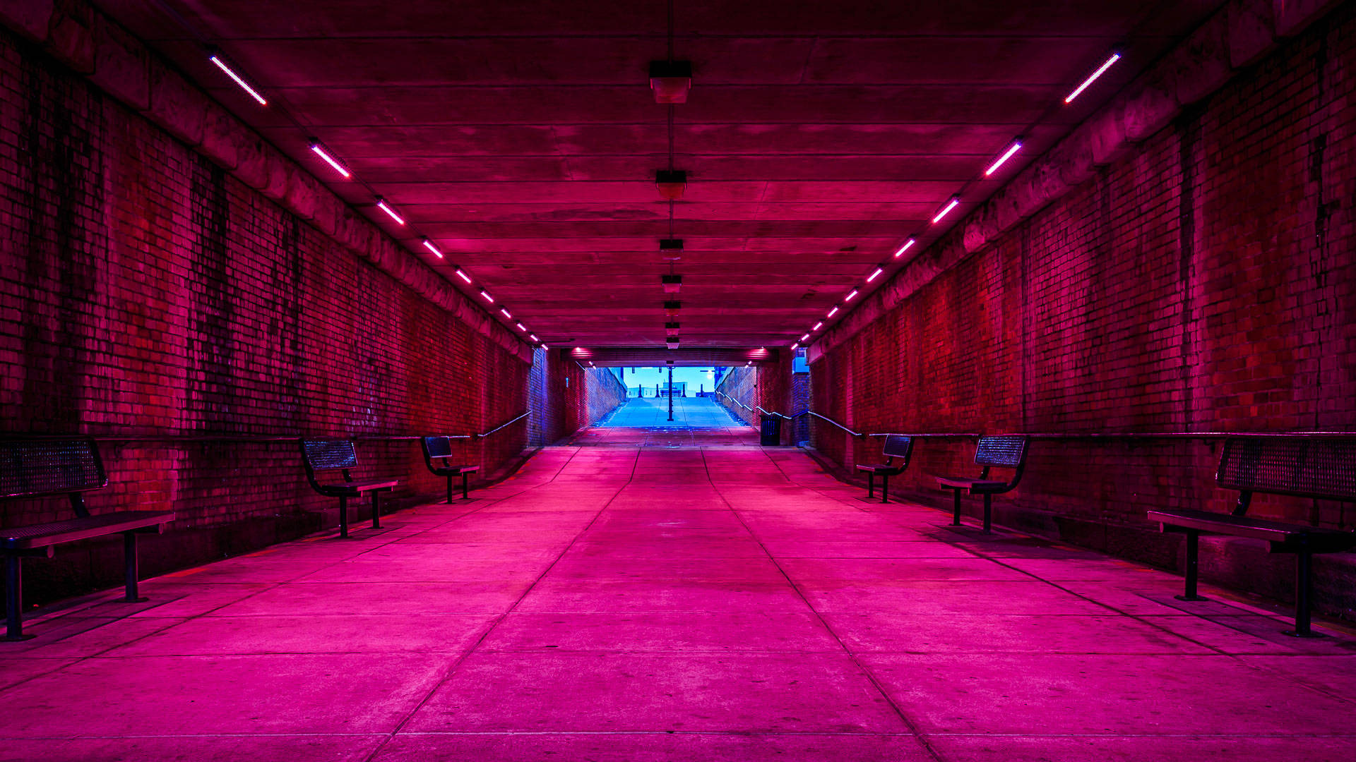 Neon Pink Underground Tunnel