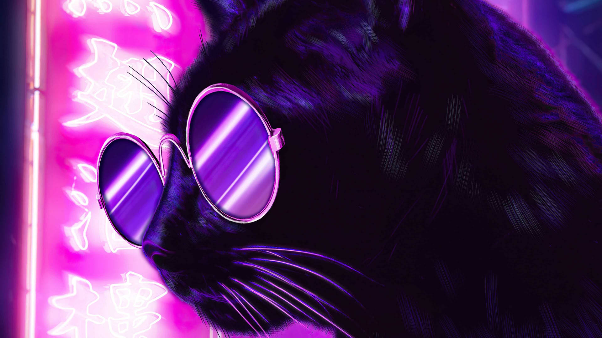 Neon Purple Aesthetic Shaded Cat Background