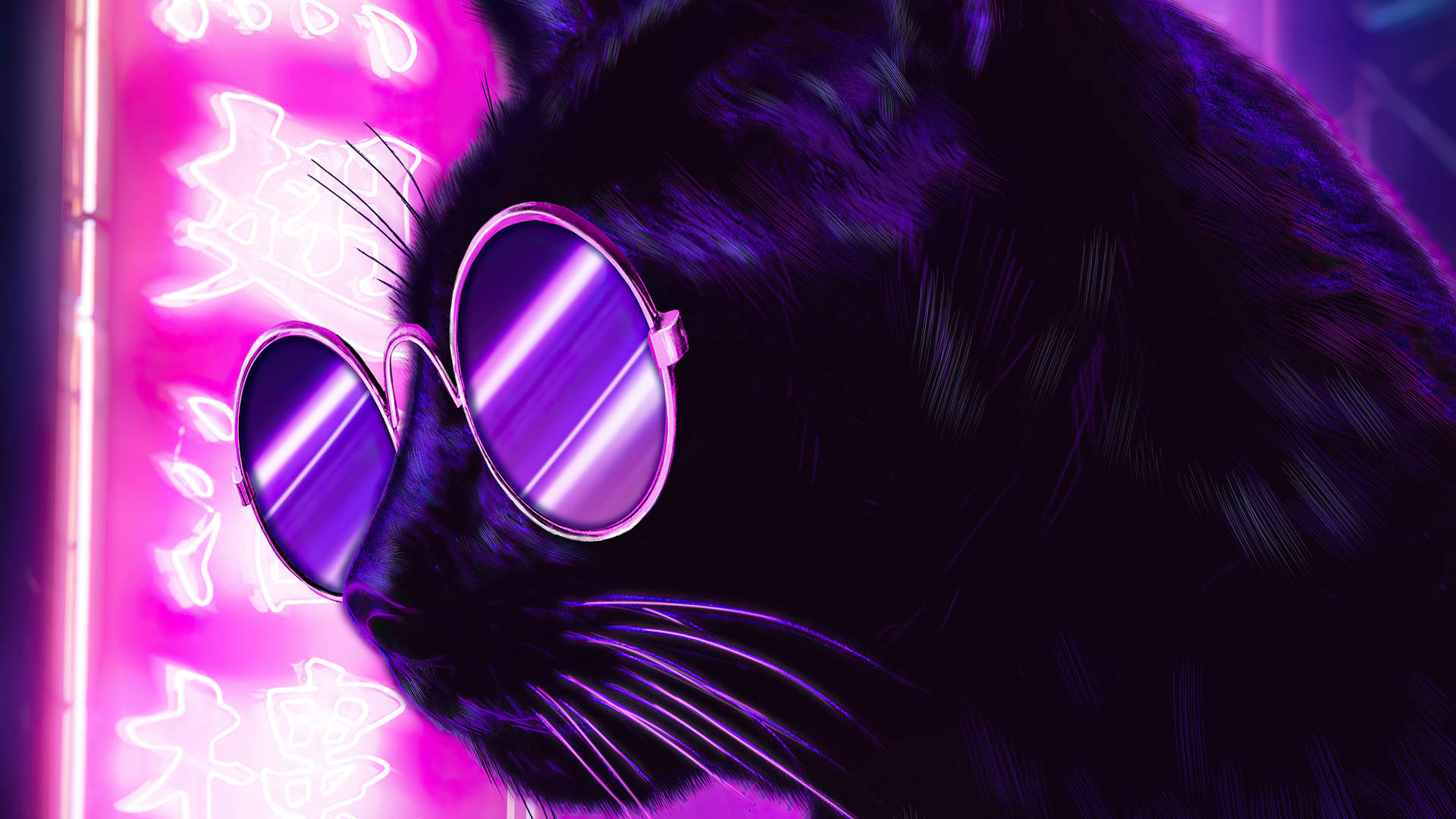 Neon Purple Cat