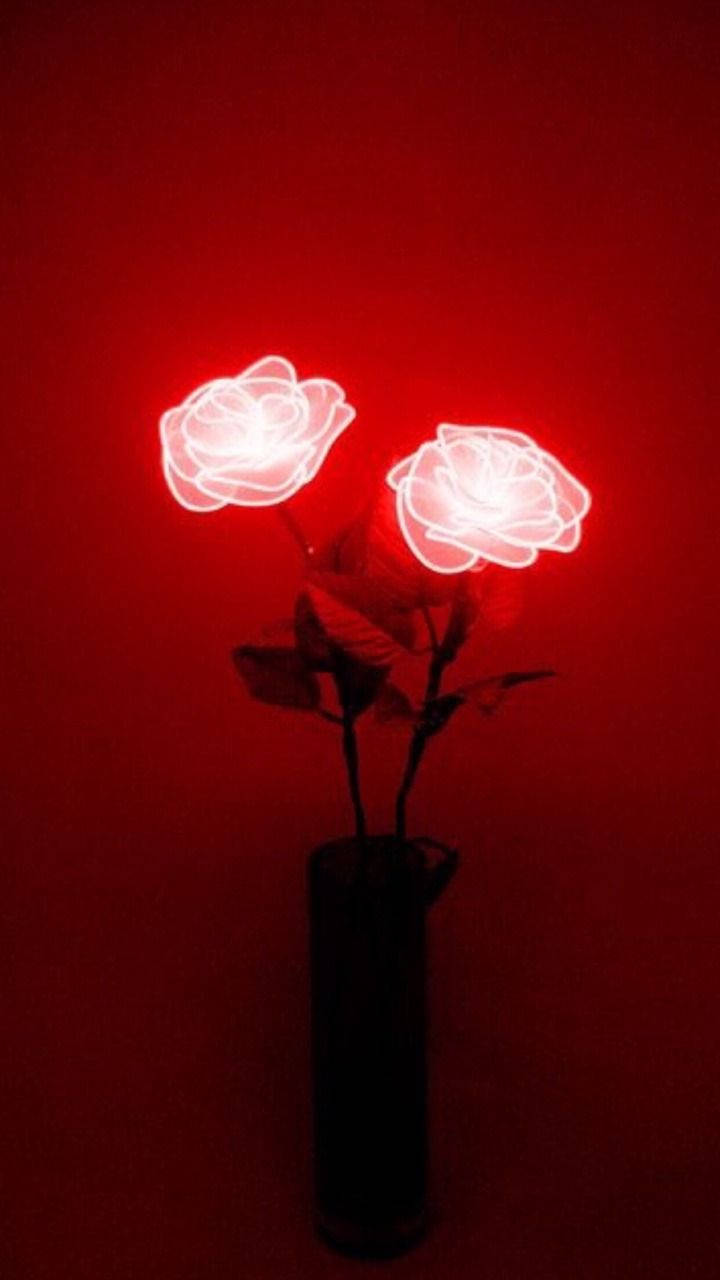 Neon Red Aesthetic Roses Background