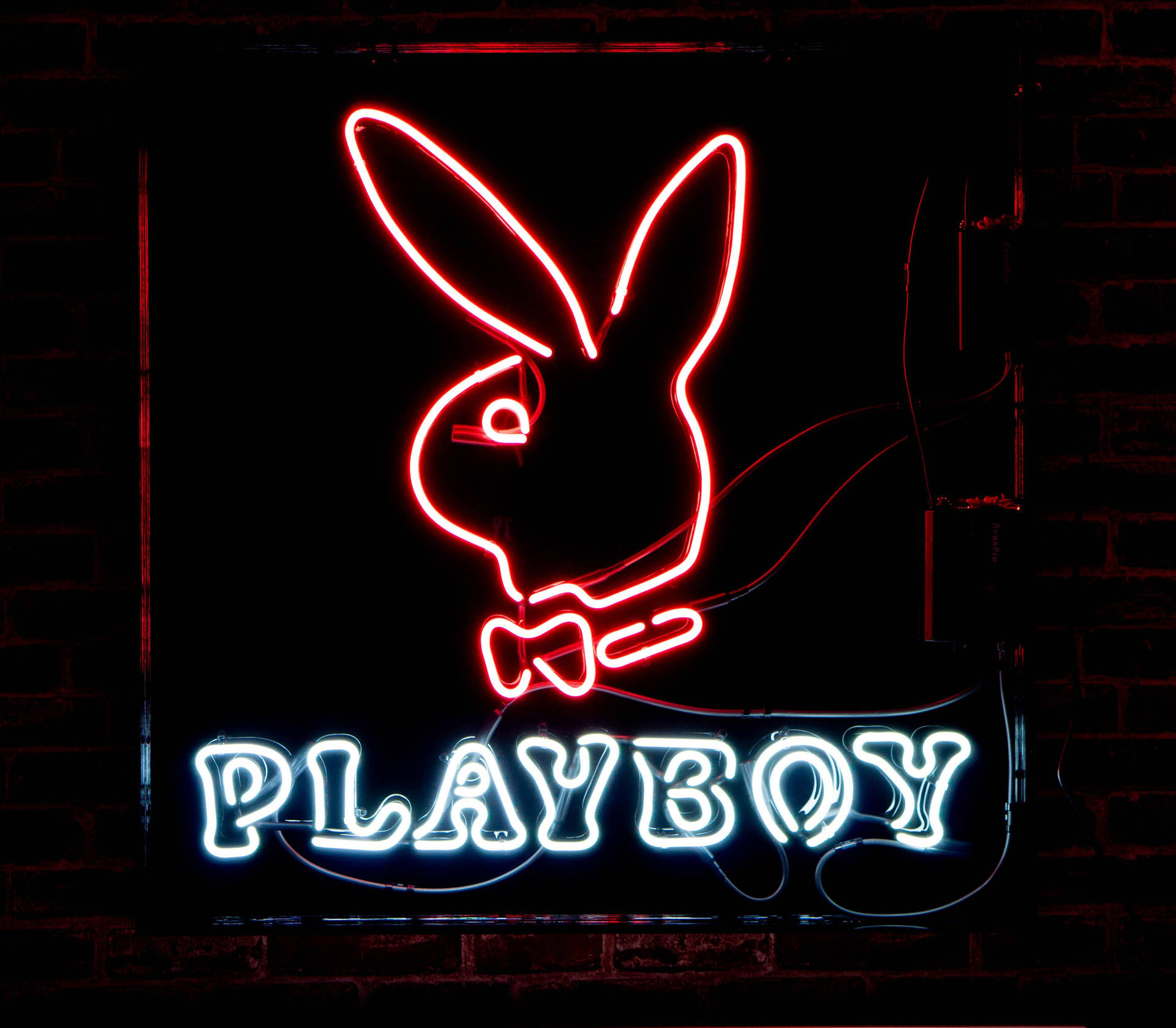 Neon Red Playboy Logo Background