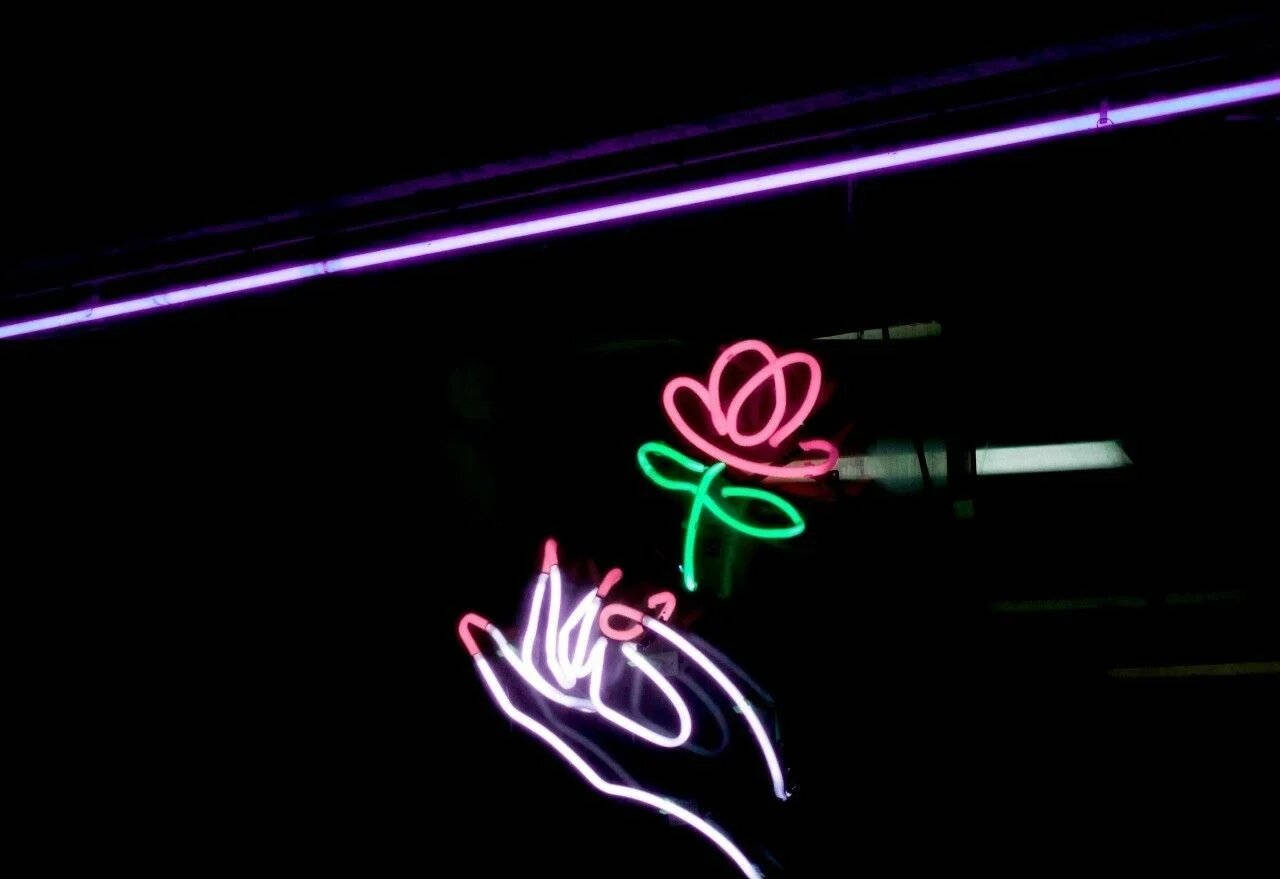 Neon Rose Light Background