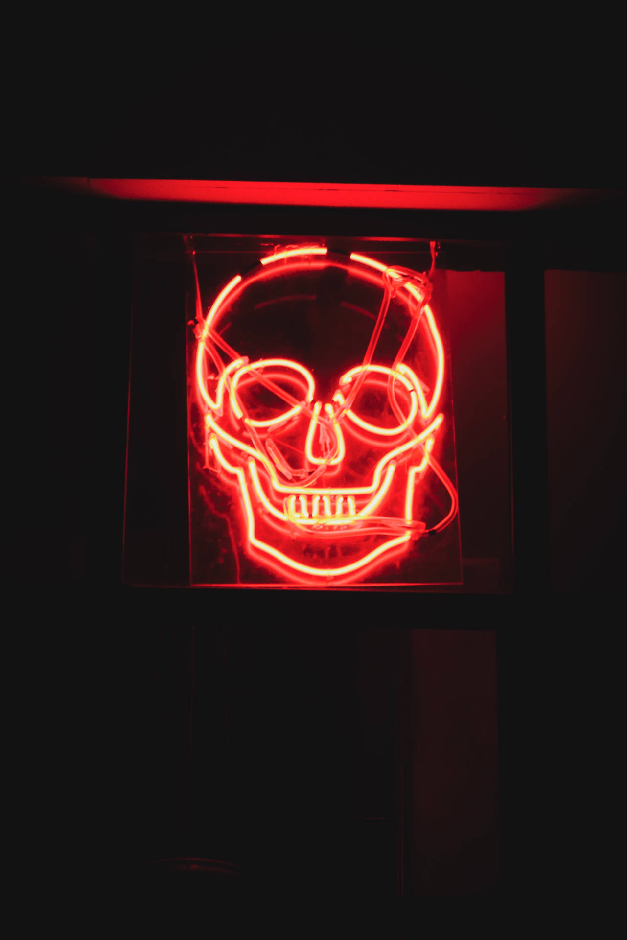 Neon Skull Background