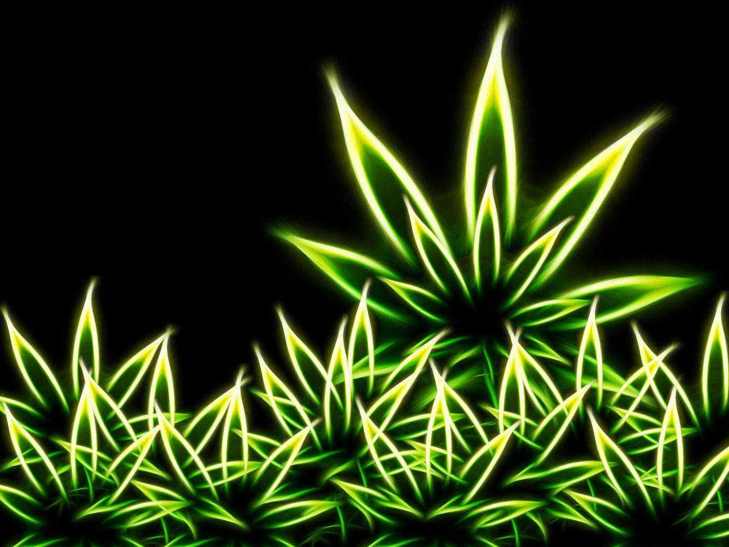 Neon Weed Leaf Graphics