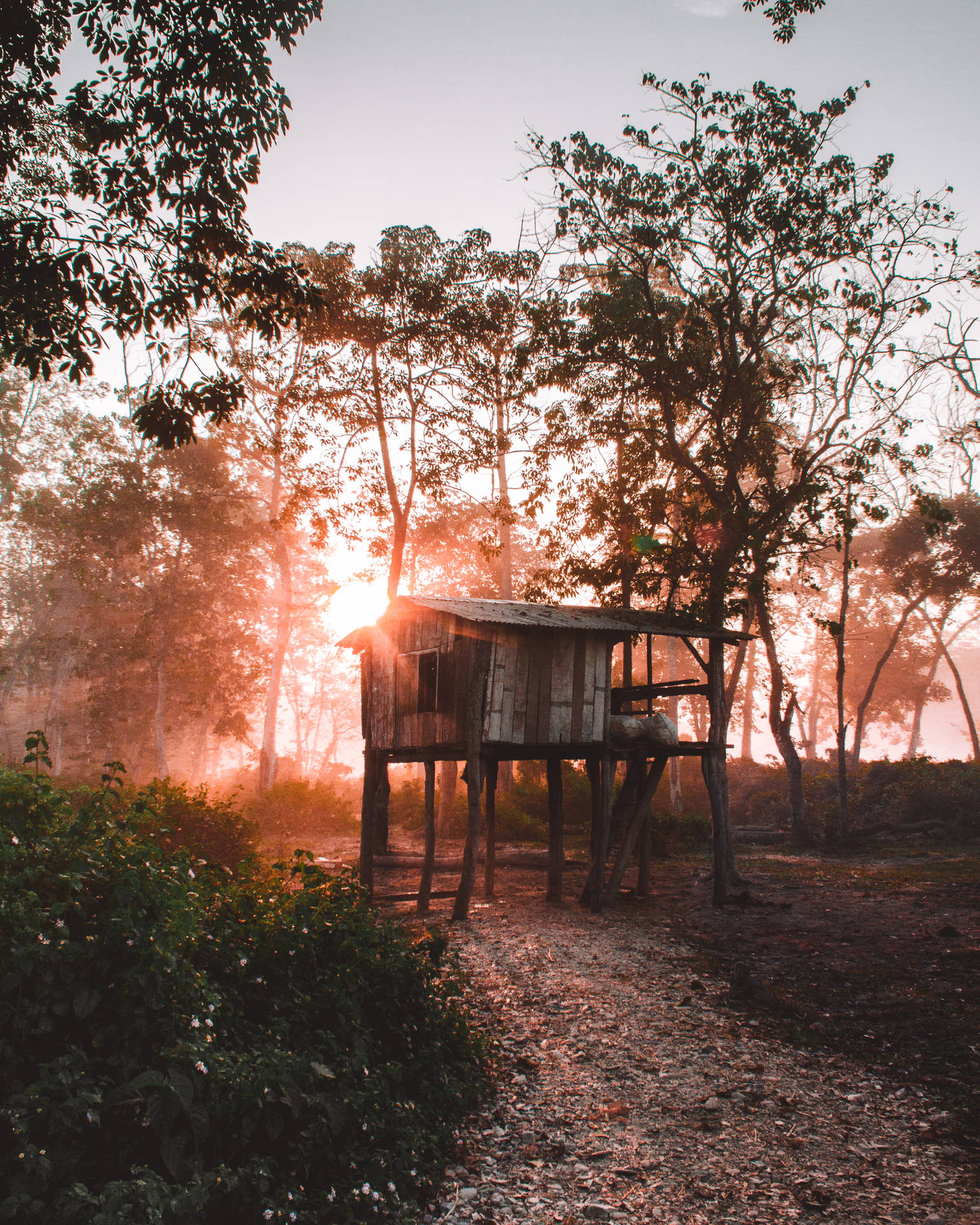 Nepal Chitwan Traditional House Background