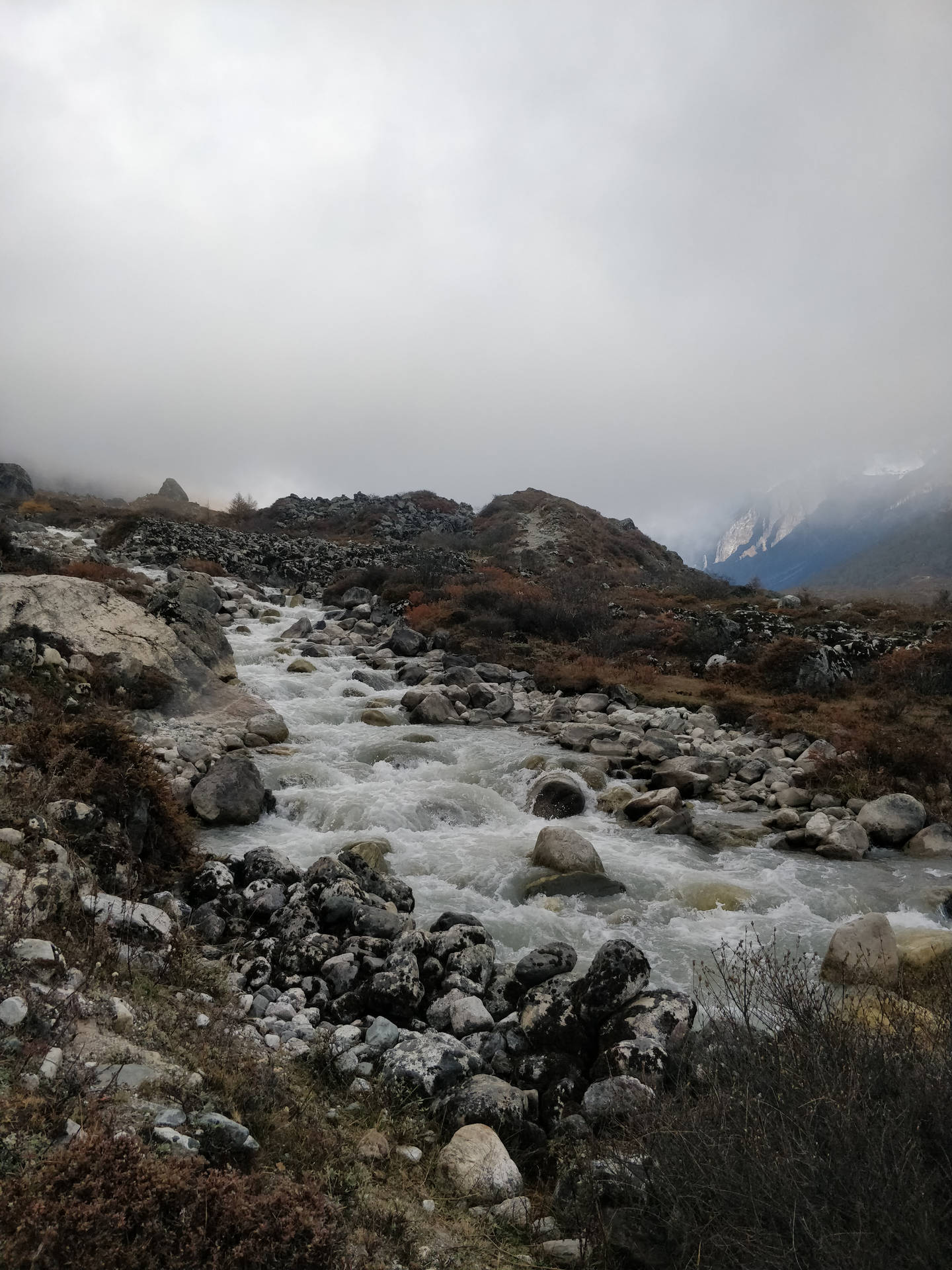 Nepal Langtang Khola Background