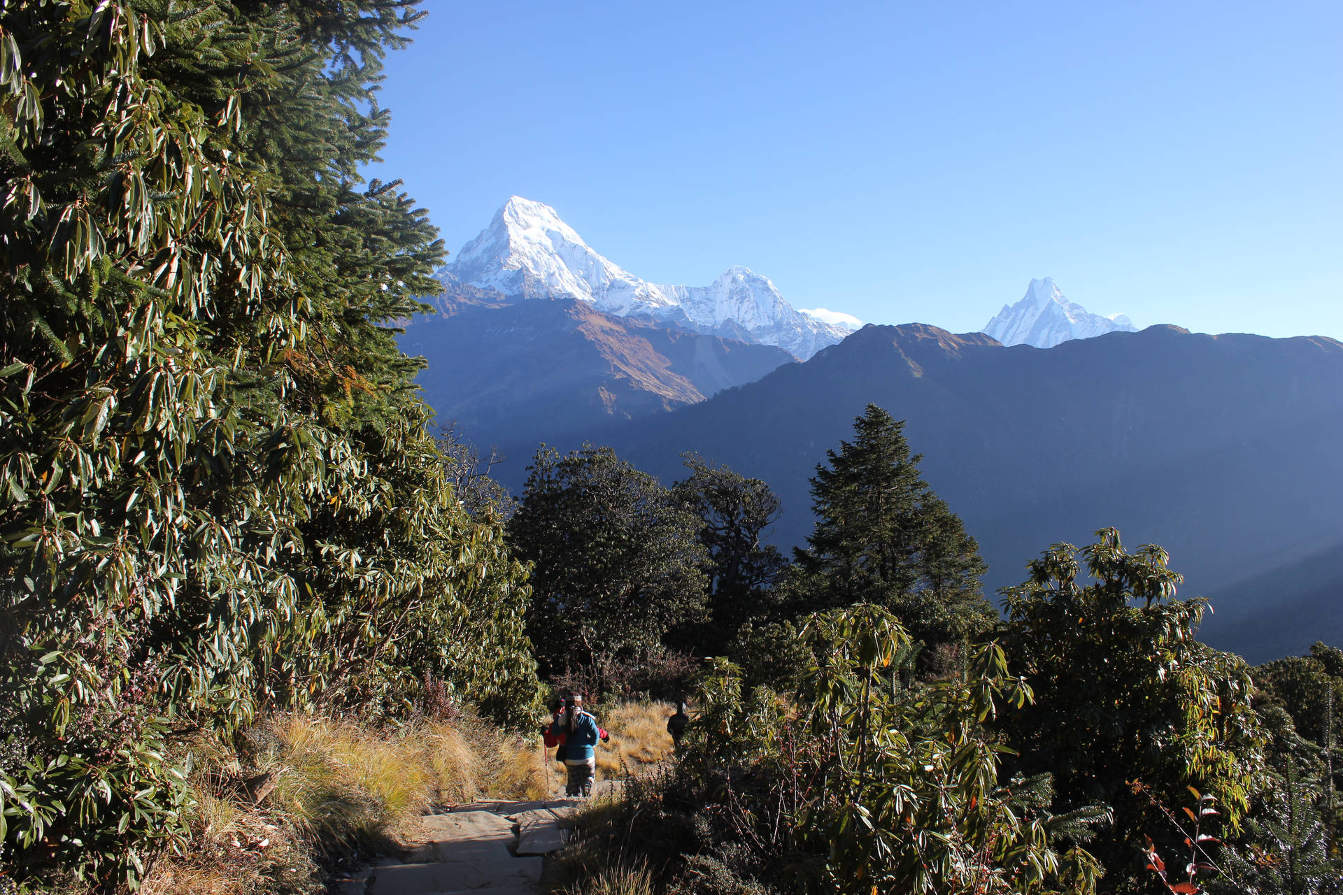 Nepal Lantang Valley Background