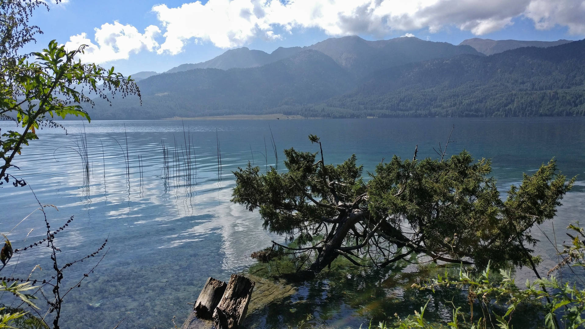 Nepal Mahendra Lake Background