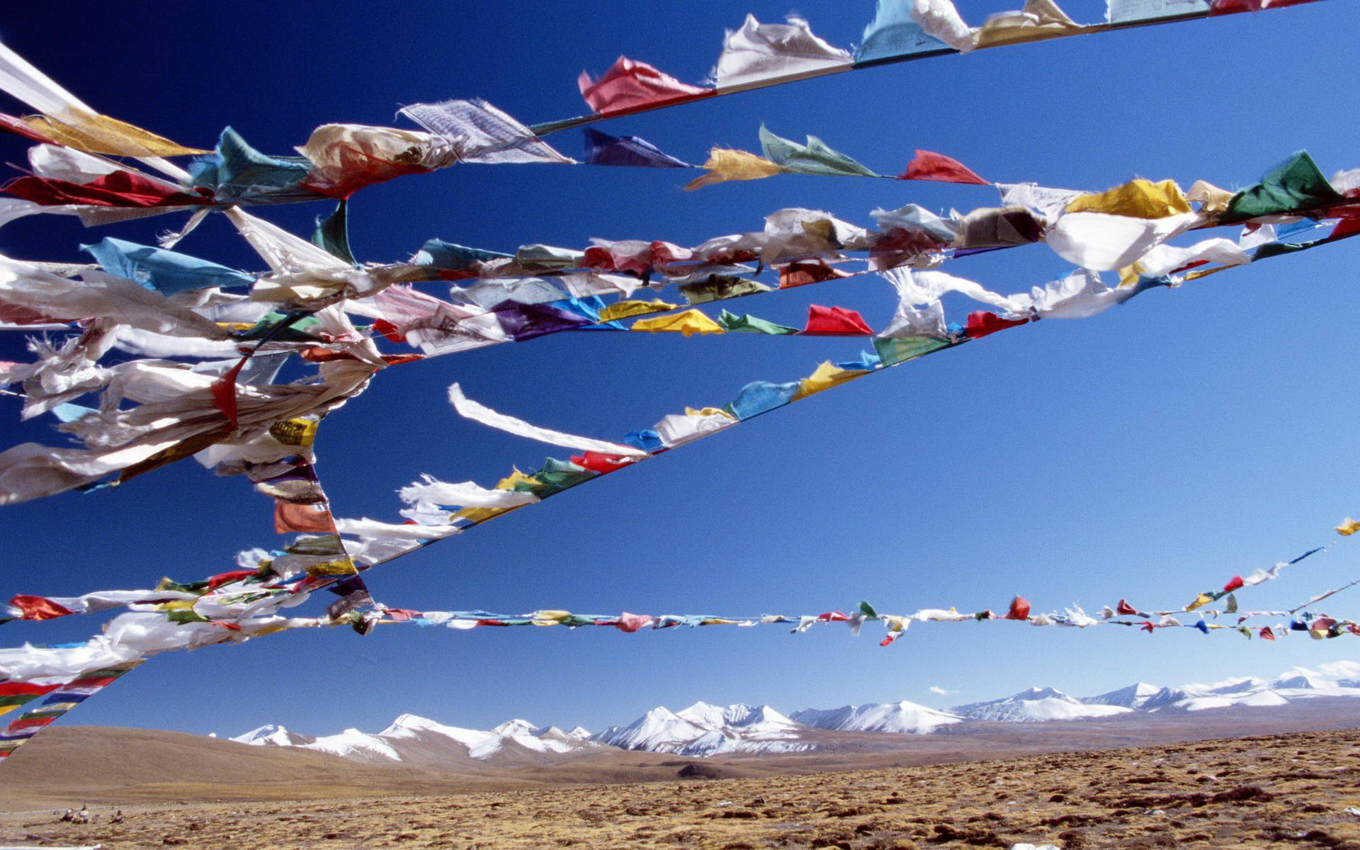 Nepal Prayer Flags Background