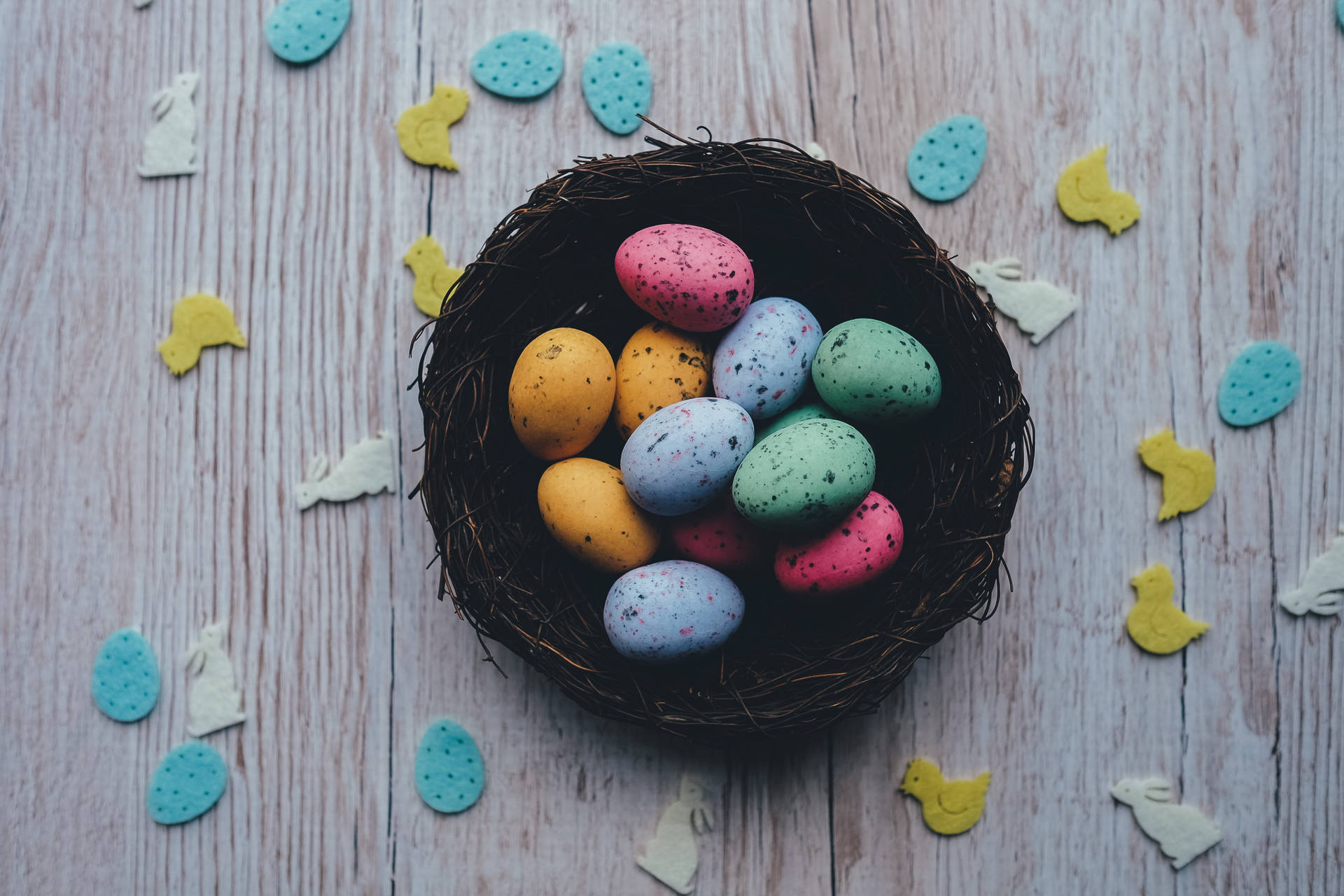 Nest Of Colorful Easter Quail Eggs Background