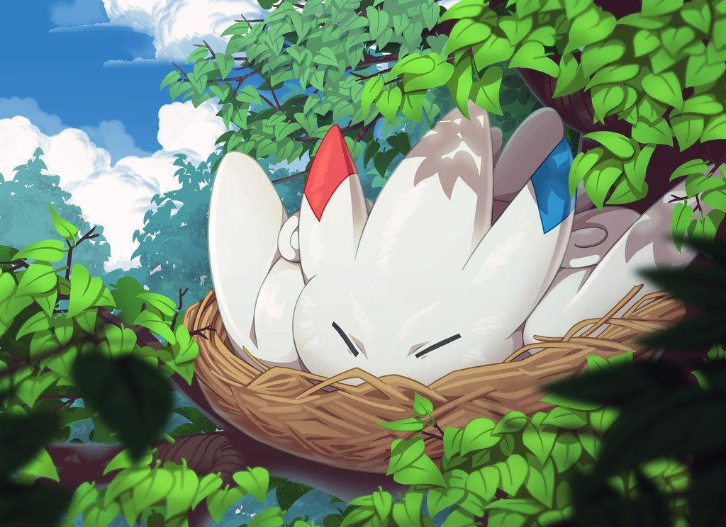 Nesting Togekiss Background