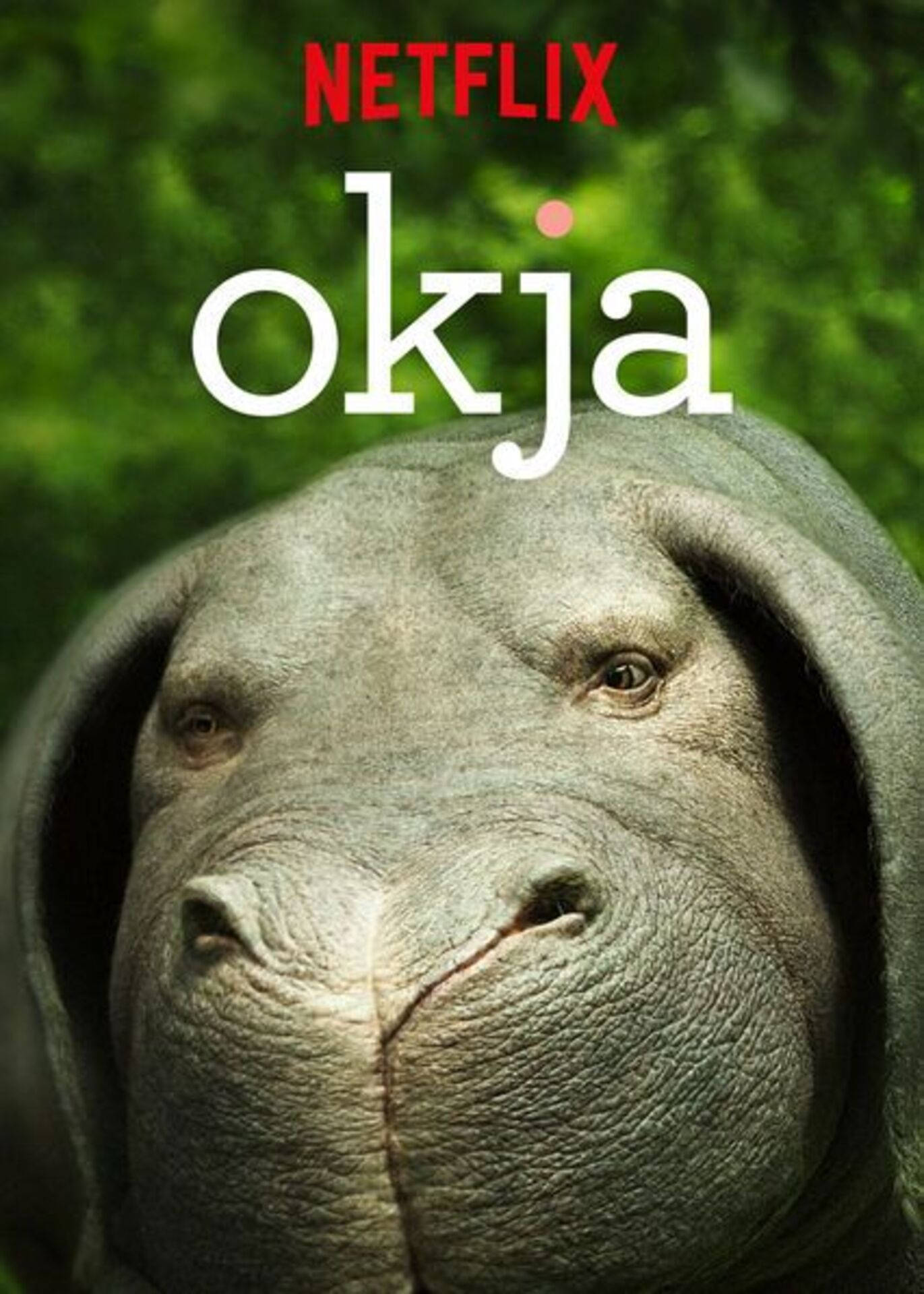 Netflix Super Pig Okja Background