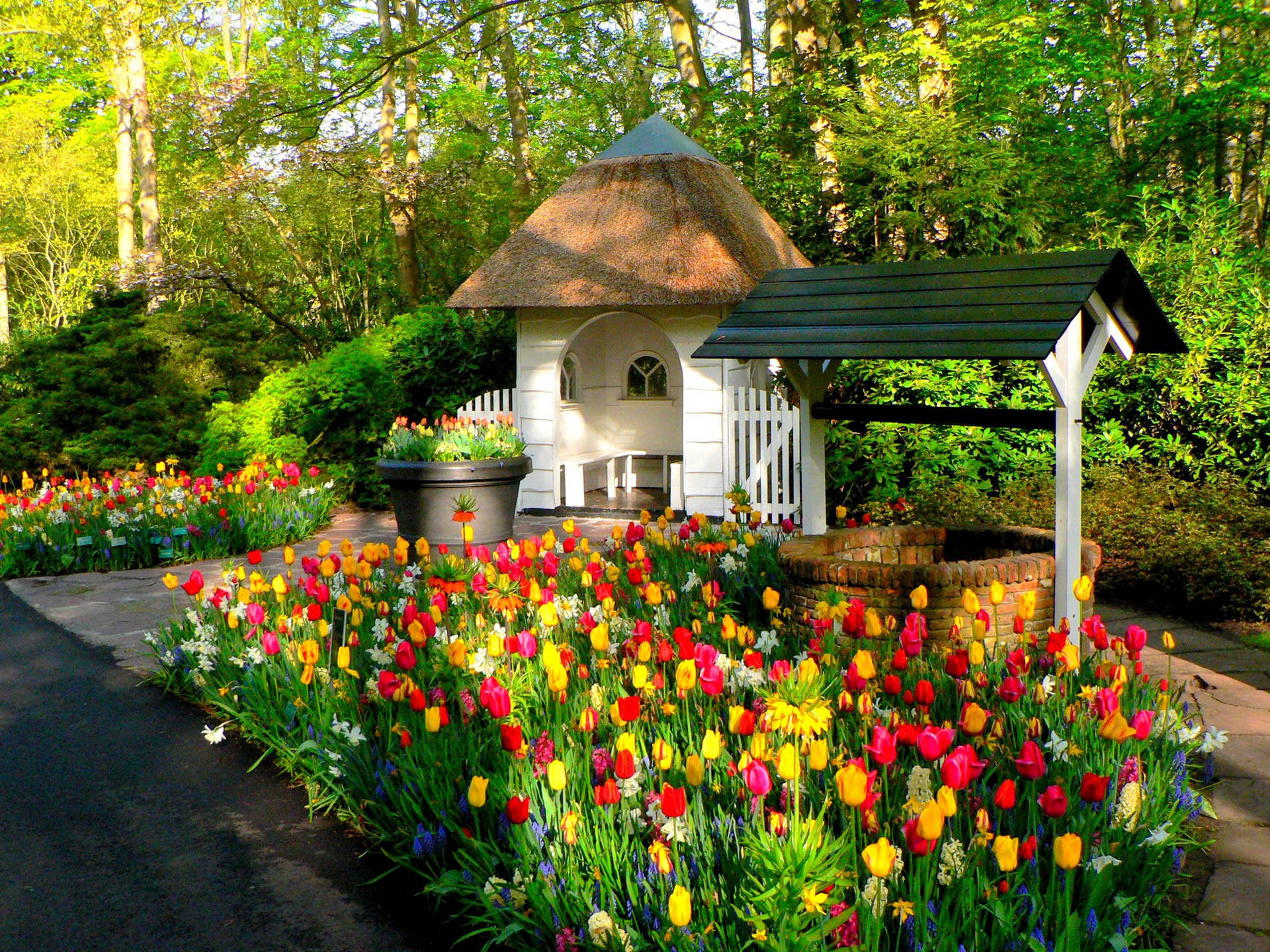 Netherlands Keuhenhof Tulips Garden Background