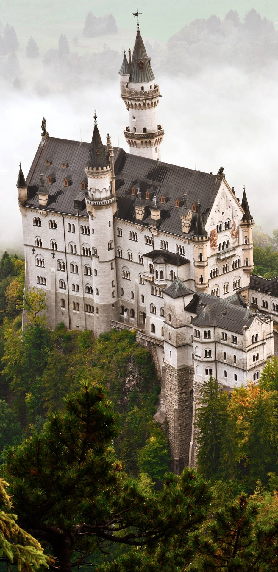 Neuschwanstein Castle Aerial View Fog Background