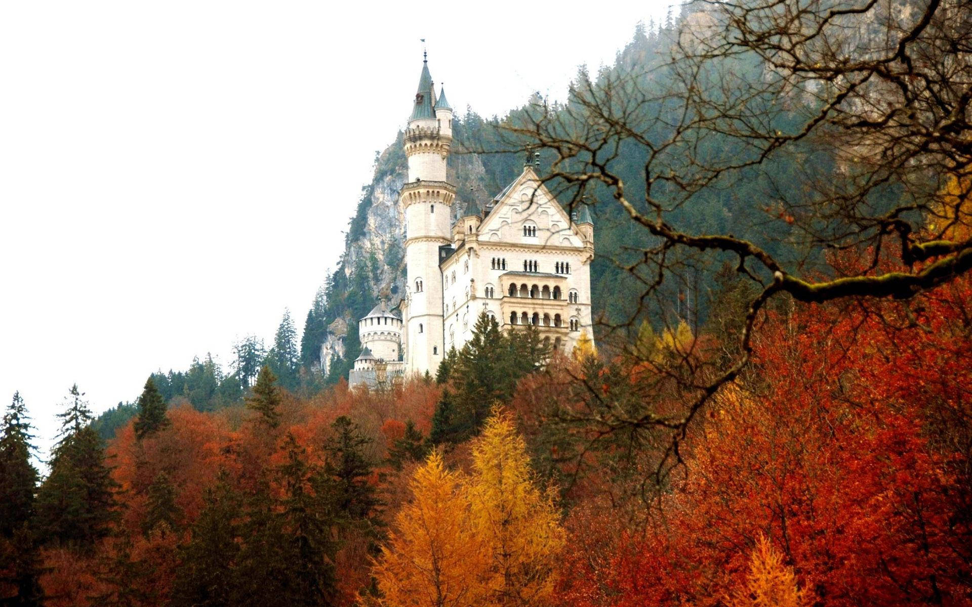 Neuschwanstein Castle Front Red Trees Background