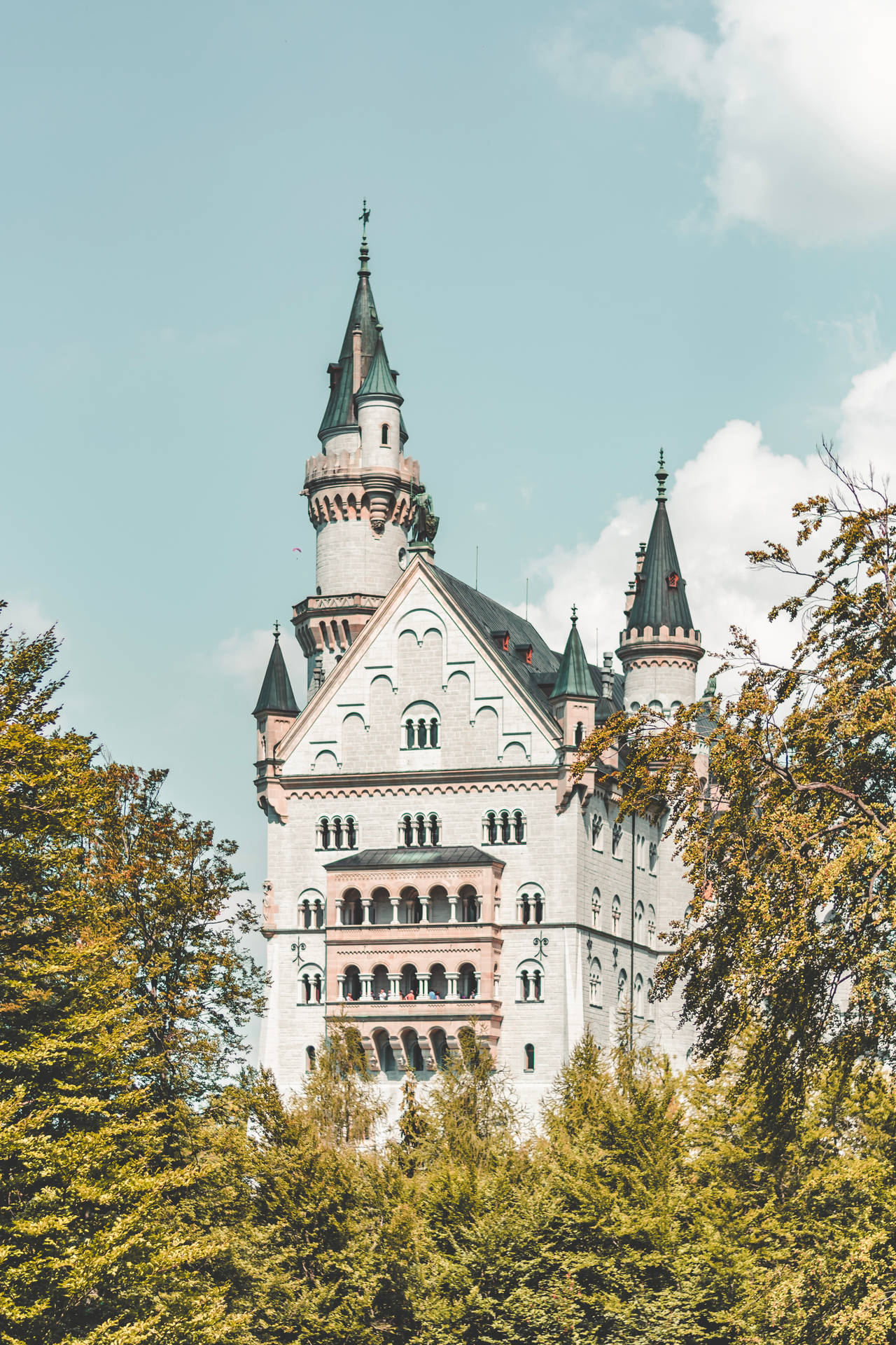 Neuschwanstein Castle Front View Background