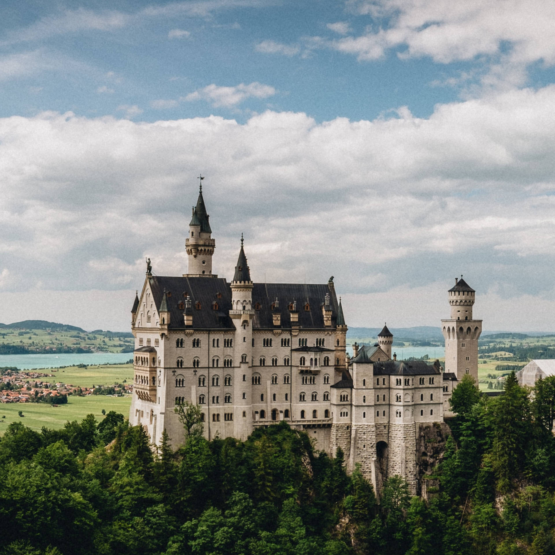 Neuschwanstein Castle Green Trees Side View Background