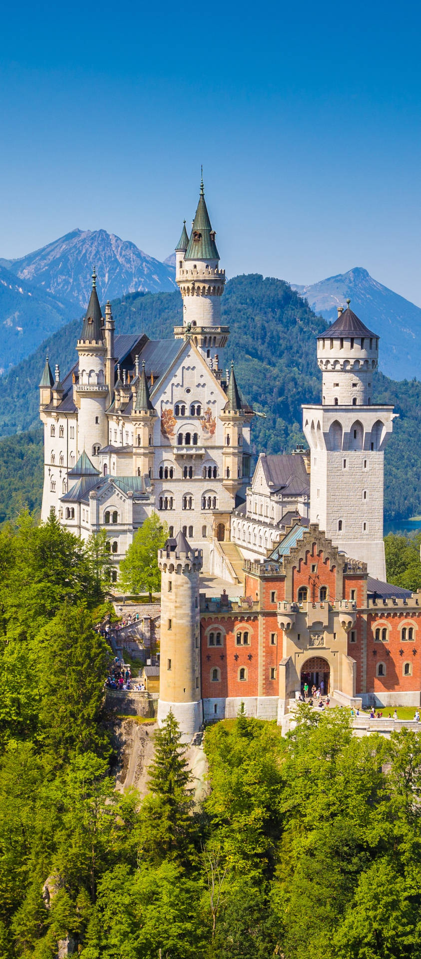 Neuschwanstein Castle Mountain Backdrop Background