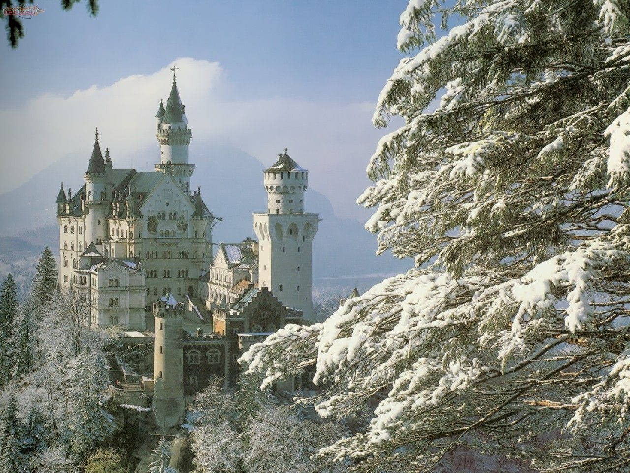 Neuschwanstein Castle Snow-covered Tree Background