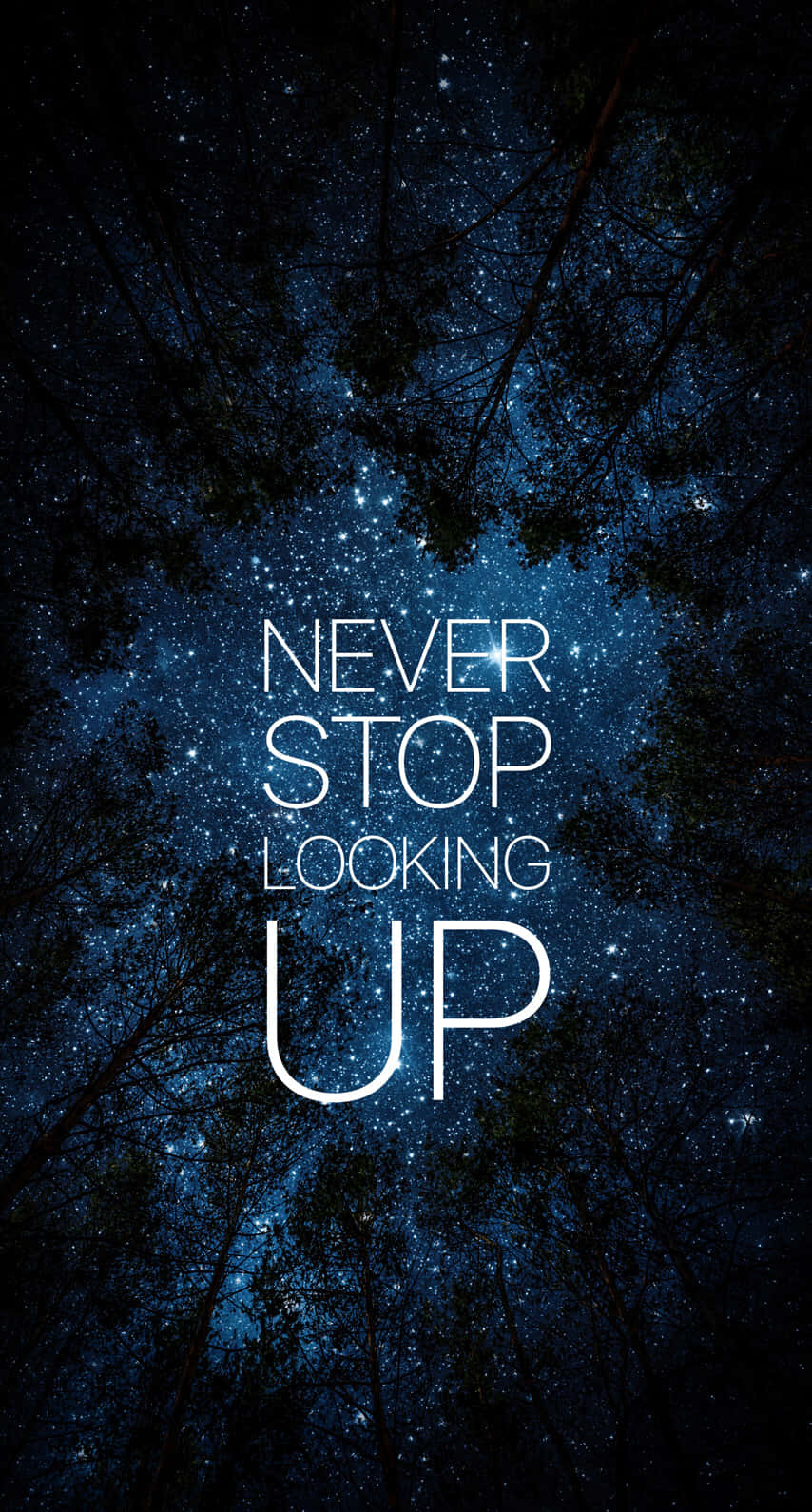 Never Stop Looking Up Wallpaper Background